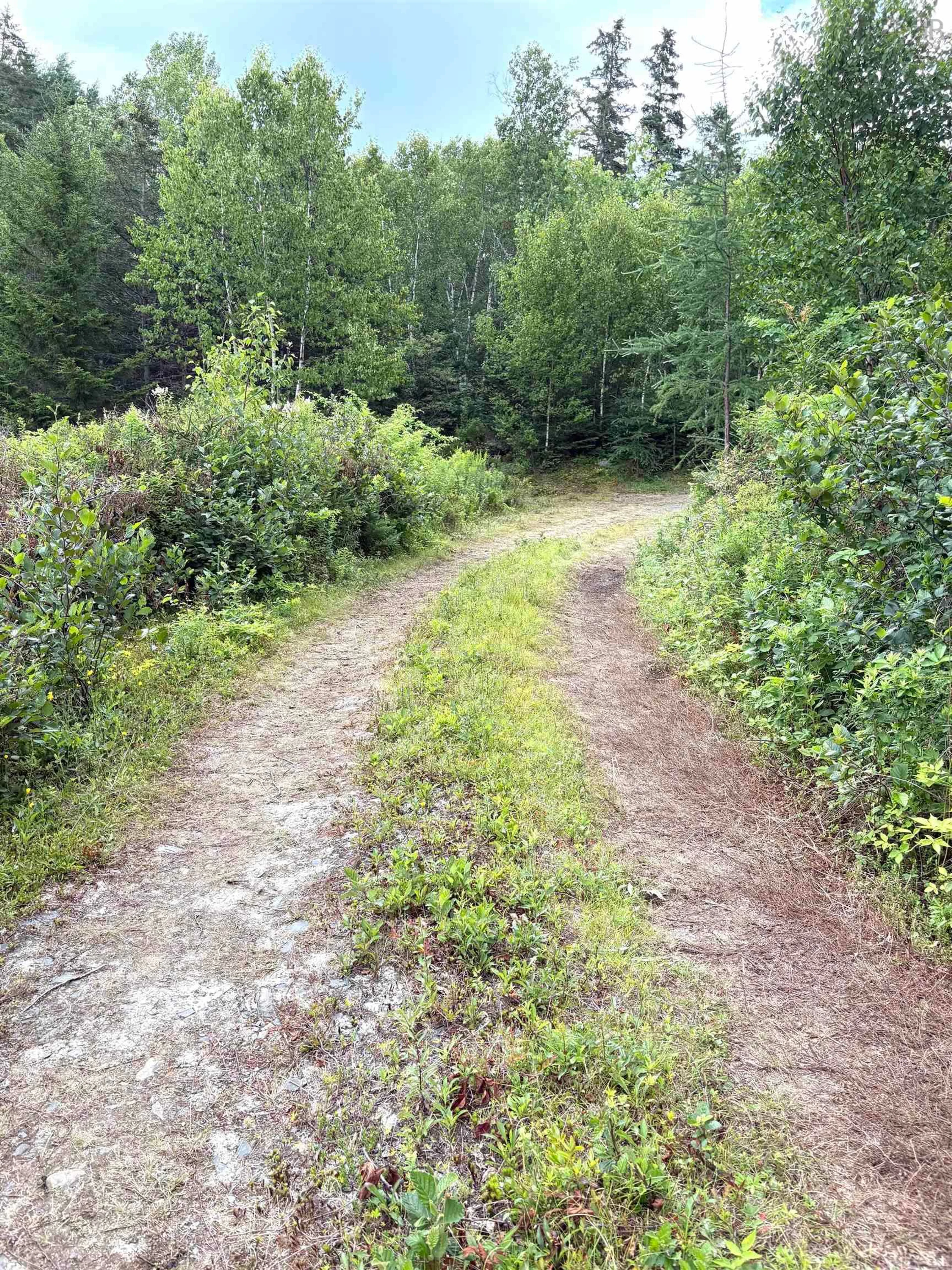 Blurry image for 21 Gates Cove Rd, Upper Blandford Nova Scotia B0J 1T0