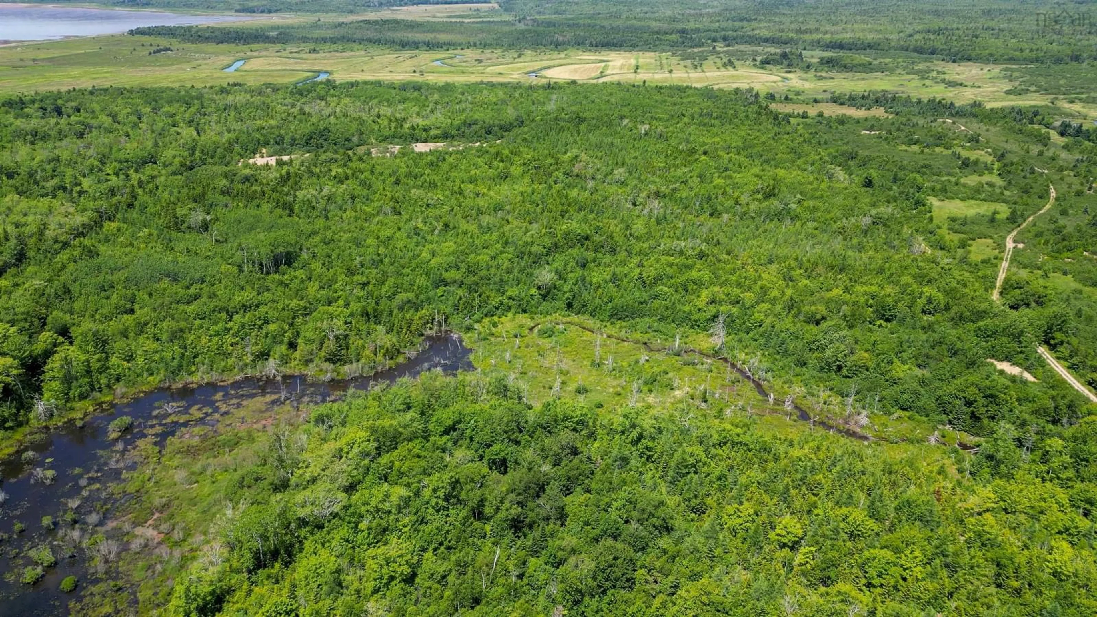 A pic from outside/outdoor area/front of a property/back of a property/a pic from drone, forest/trees view for 9281 Highway 101 #101, Brighton Nova Scotia B0V 1A0