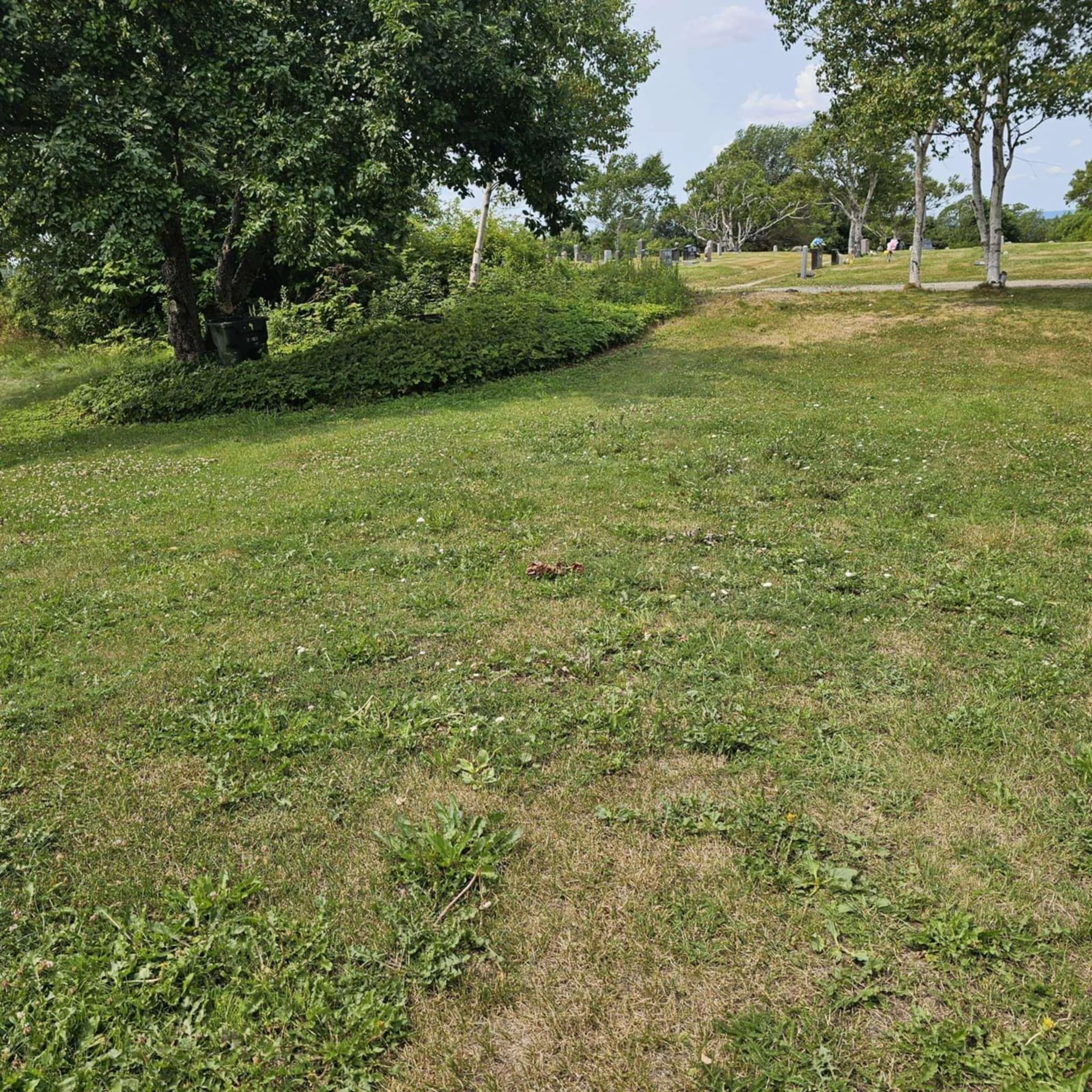 A pic from outside/outdoor area/front of a property/back of a property/a pic from drone, unknown for 43 Colby St, Sydney Nova Scotia B1P 3P9