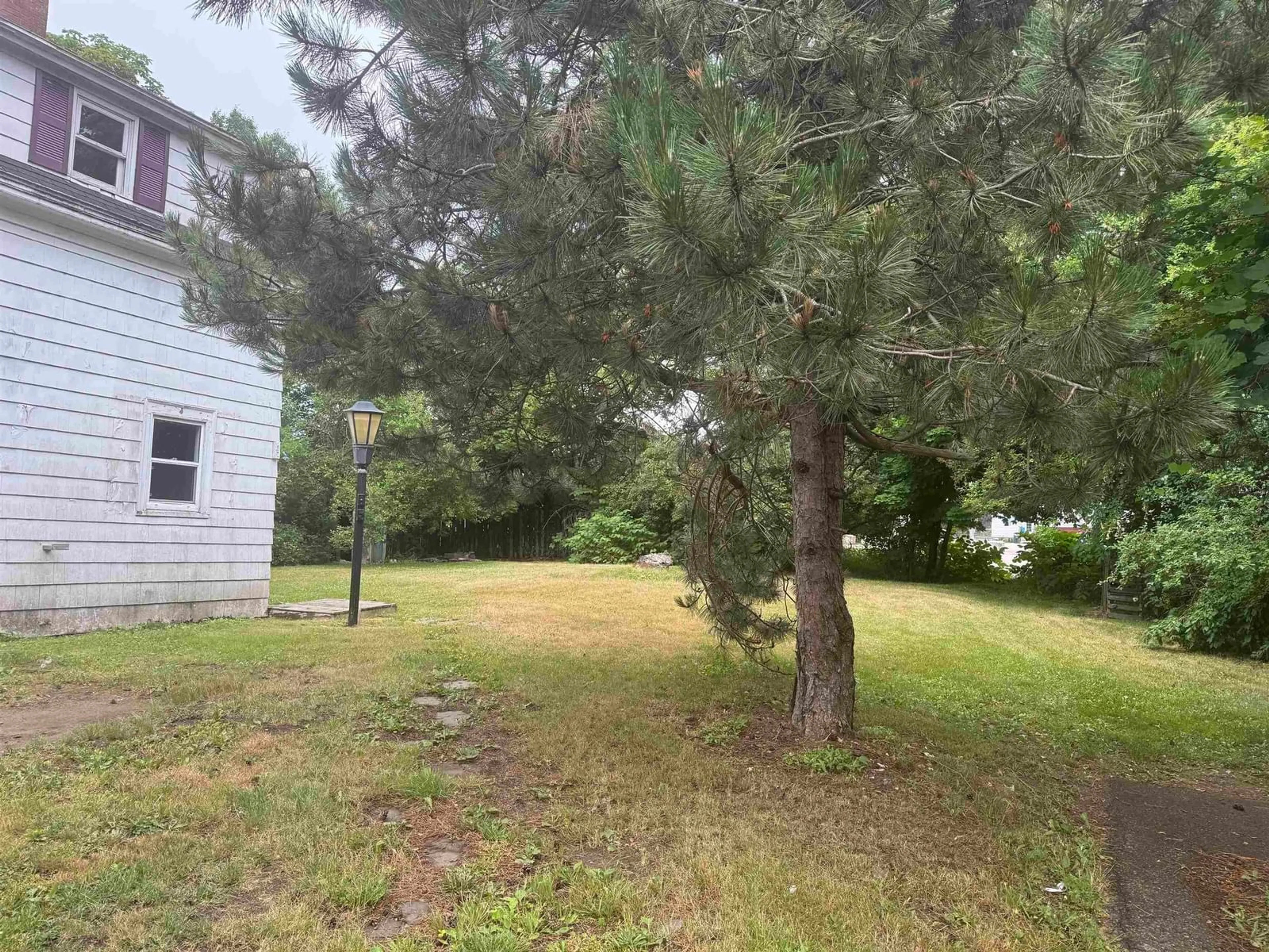 A pic from outside/outdoor area/front of a property/back of a property/a pic from drone, forest/trees view for 74 Pleasant St, North Sydney Nova Scotia B2A 1L5