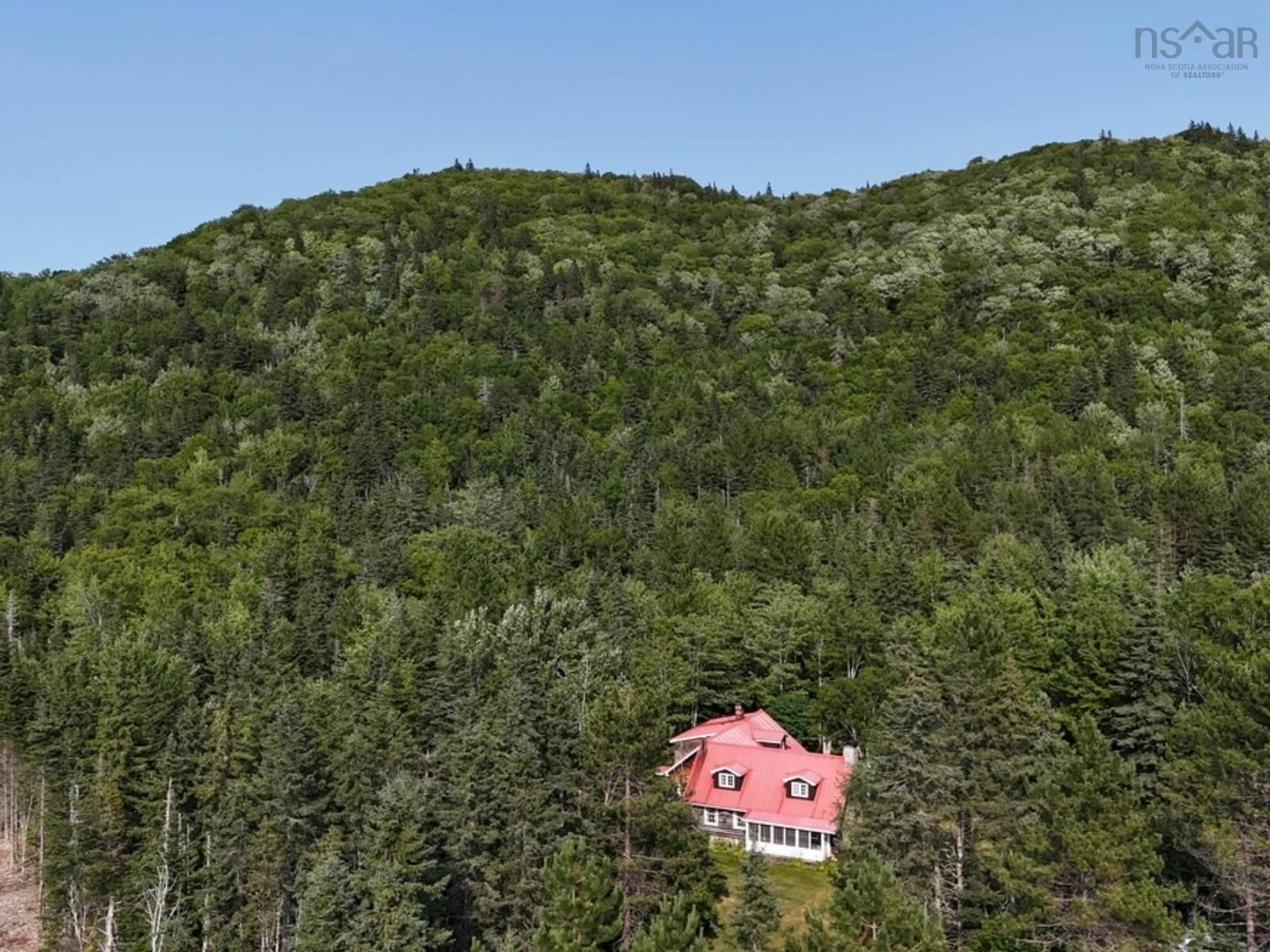 A pic from outside/outdoor area/front of a property/back of a property/a pic from drone, forest/trees view for 3512 East Big Intervale Rd., Margaree Valley Nova Scotia B0E 2C0