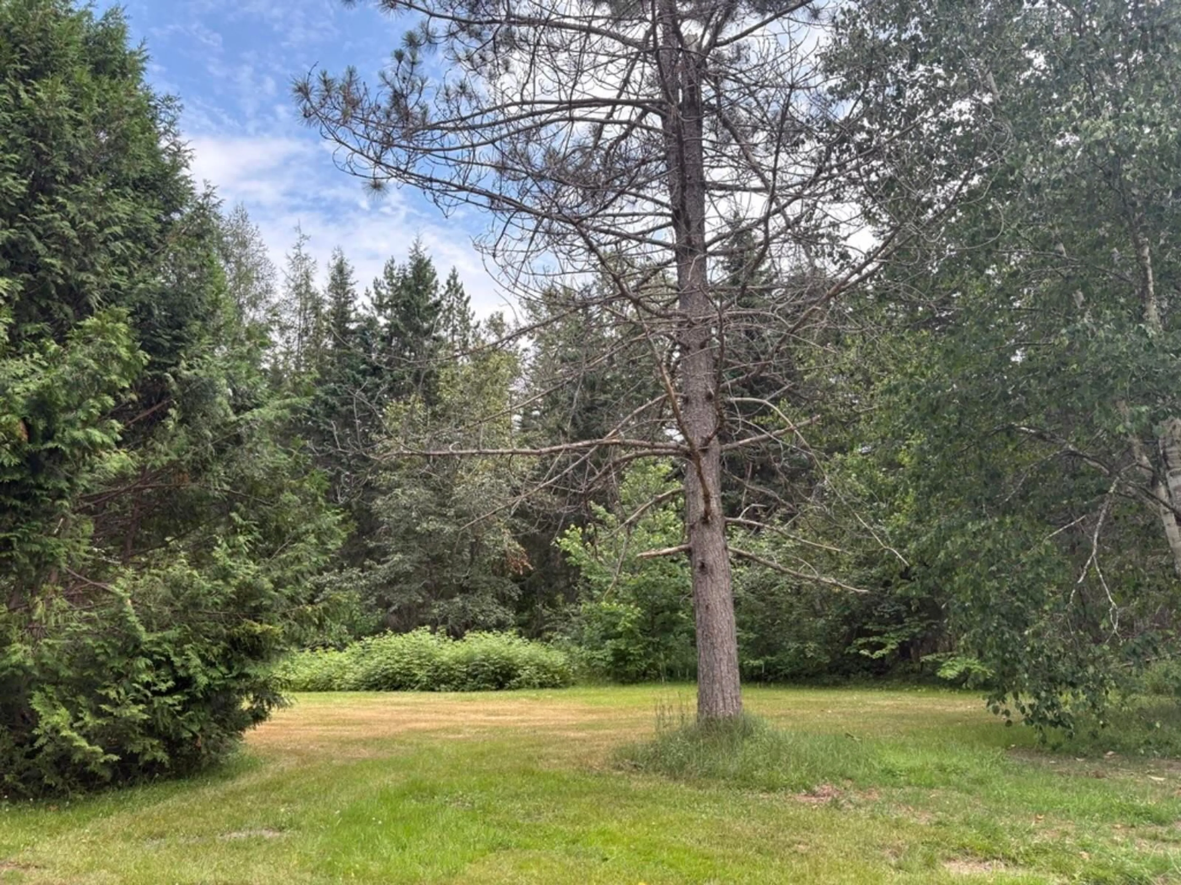 A pic from outside/outdoor area/front of a property/back of a property/a pic from drone, forest/trees view for 3512 East Big Intervale Rd., Margaree Valley Nova Scotia B0E 2C0