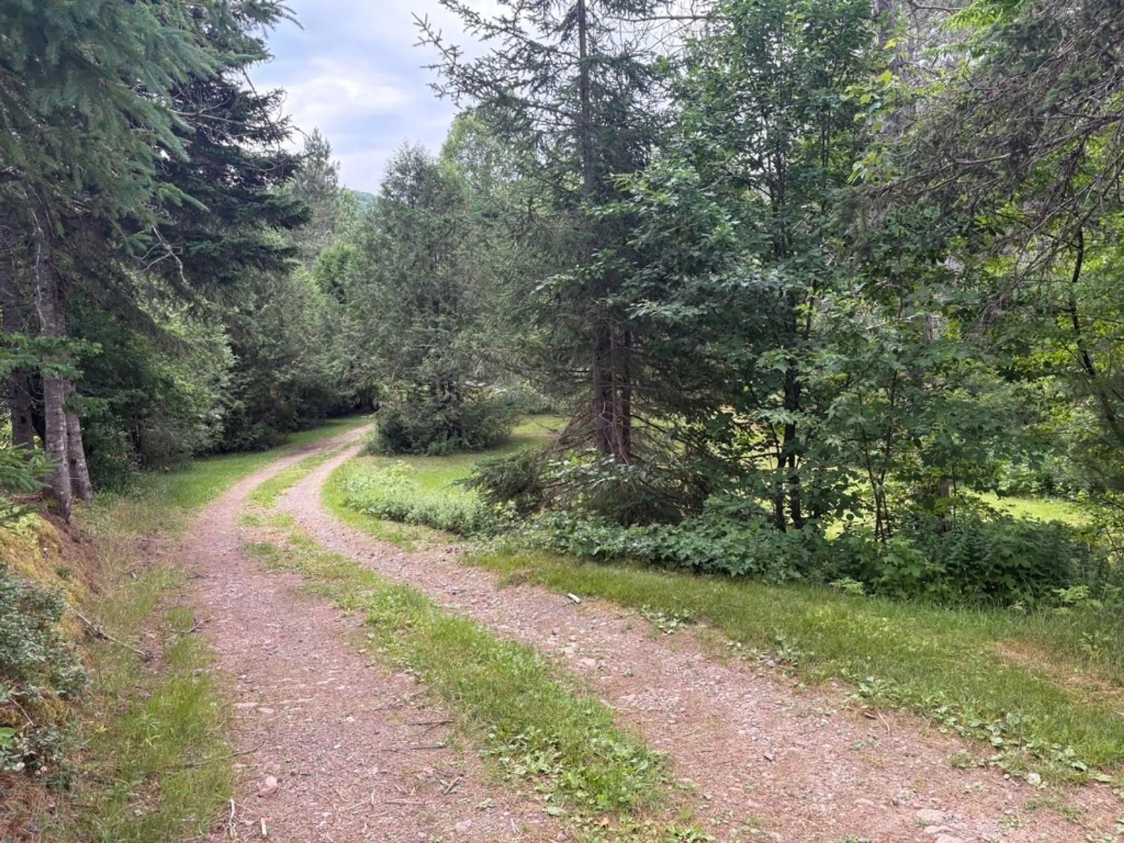 A pic from outside/outdoor area/front of a property/back of a property/a pic from drone, forest/trees view for 3512 East Big Intervale Rd., Margaree Valley Nova Scotia B0E 2C0