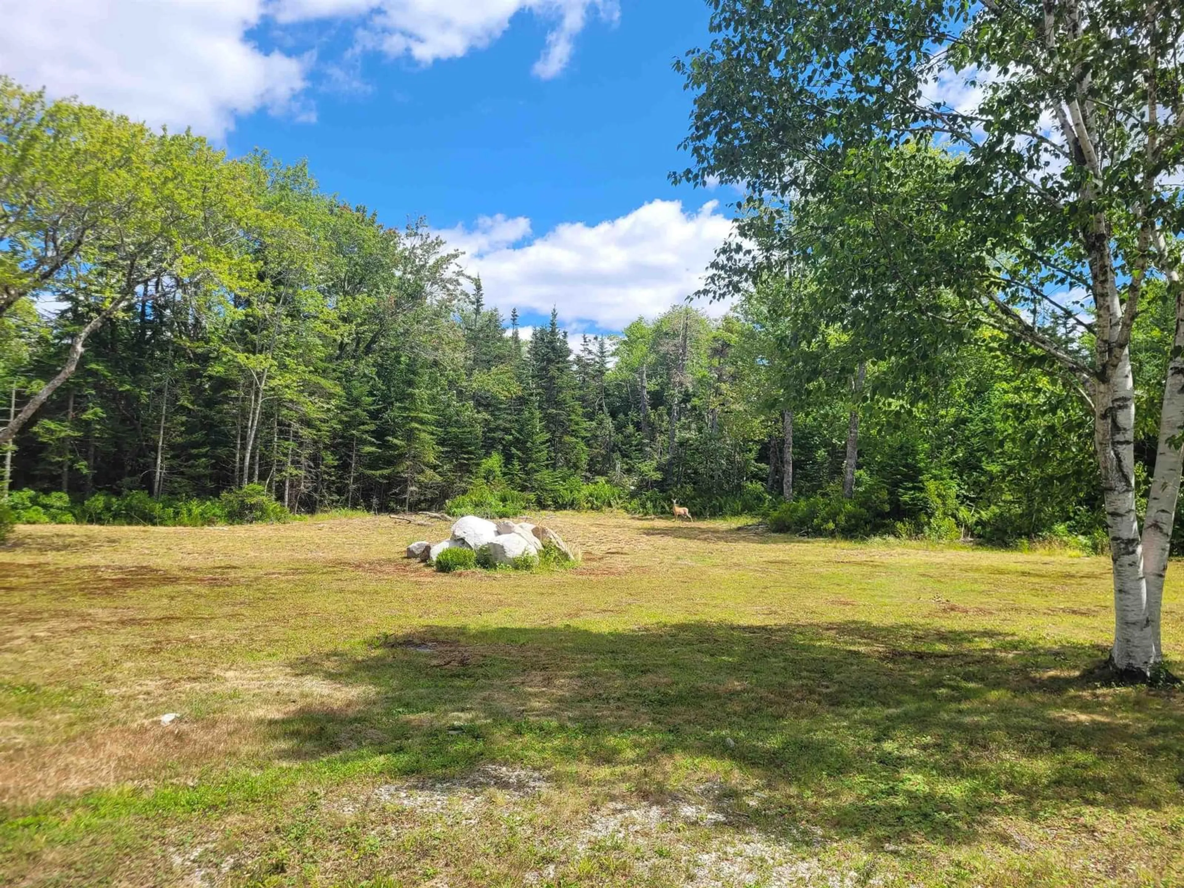 A pic from outside/outdoor area/front of a property/back of a property/a pic from drone, forest/trees view for 57 Somerset Dr, East Sable River Nova Scotia B0T 1V0