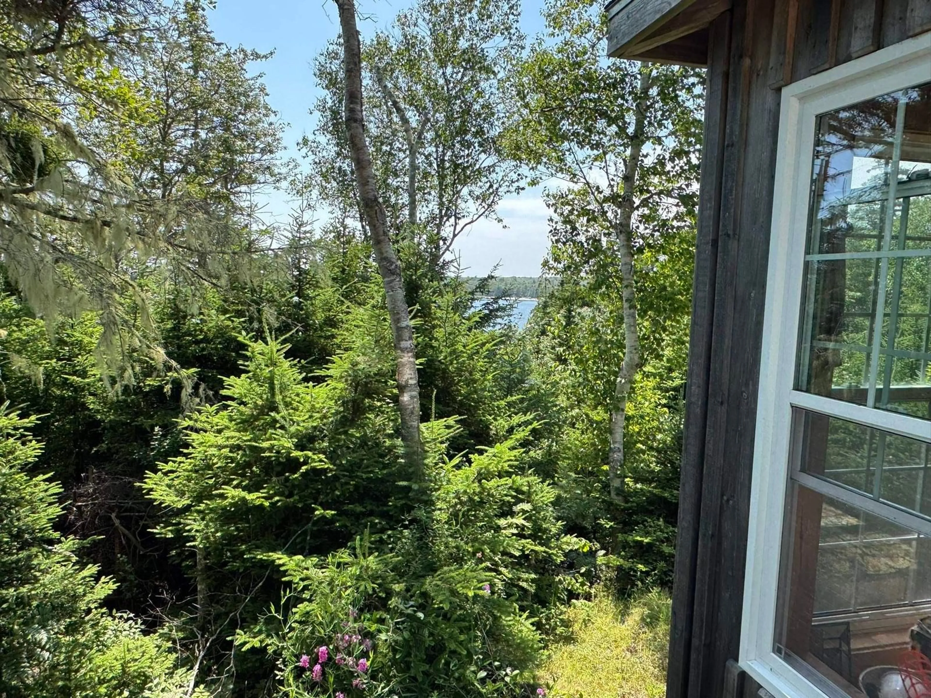 A pic from outside/outdoor area/front of a property/back of a property/a pic from drone, forest/trees view for 1598 East Port L'hebert Rd, East Port L'Hebert Nova Scotia B0T 1S0
