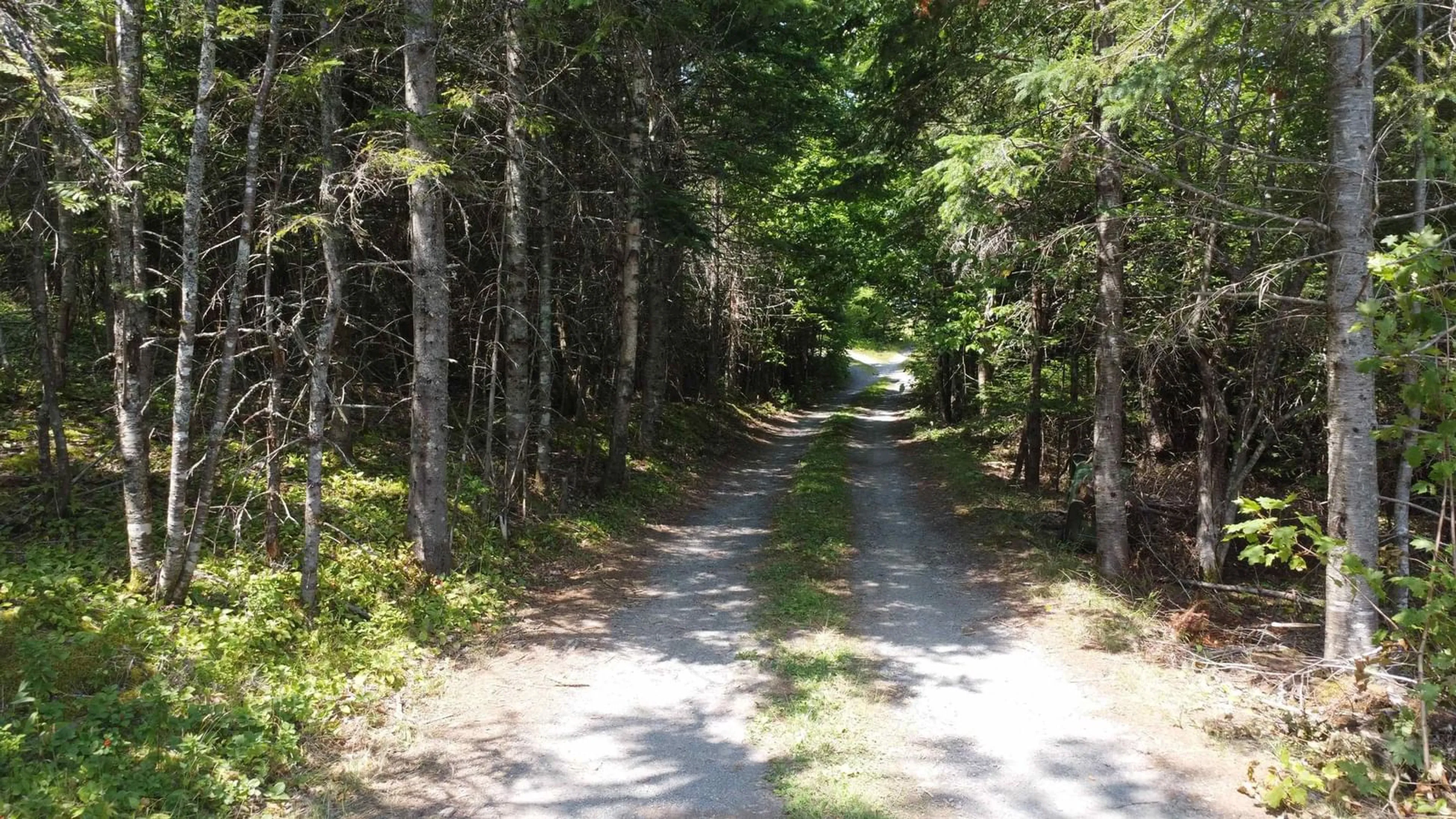 Blurry image for 231 Gower Rd, West River Station Nova Scotia B0K 1Z0