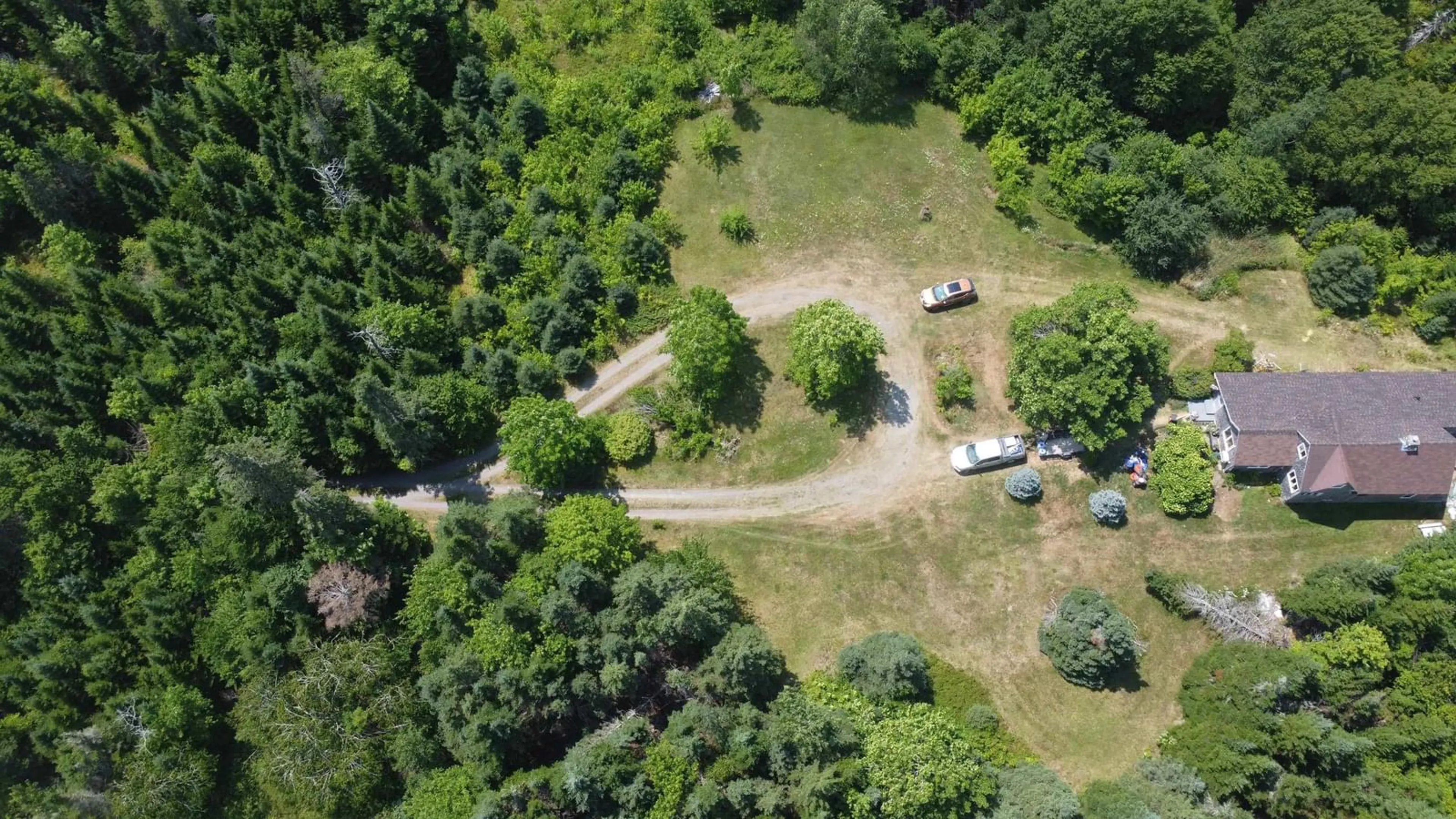 A pic from outside/outdoor area/front of a property/back of a property/a pic from drone, forest/trees view for 231 Gower Rd, West River Station Nova Scotia B0K 1Z0