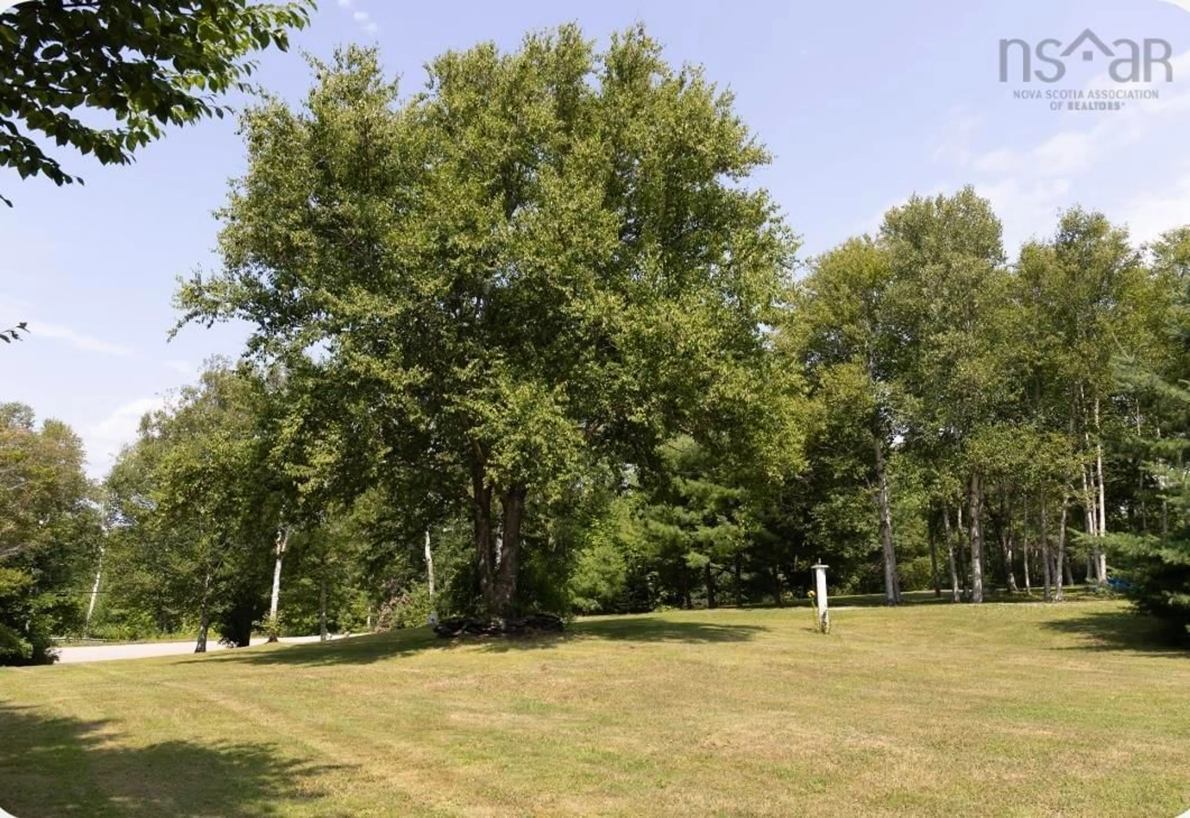 A pic from outside/outdoor area/front of a property/back of a property/a pic from drone, forest/trees view for 6935 Grand Narrows Hwy, Shenacadie Nova Scotia B1T 1M5
