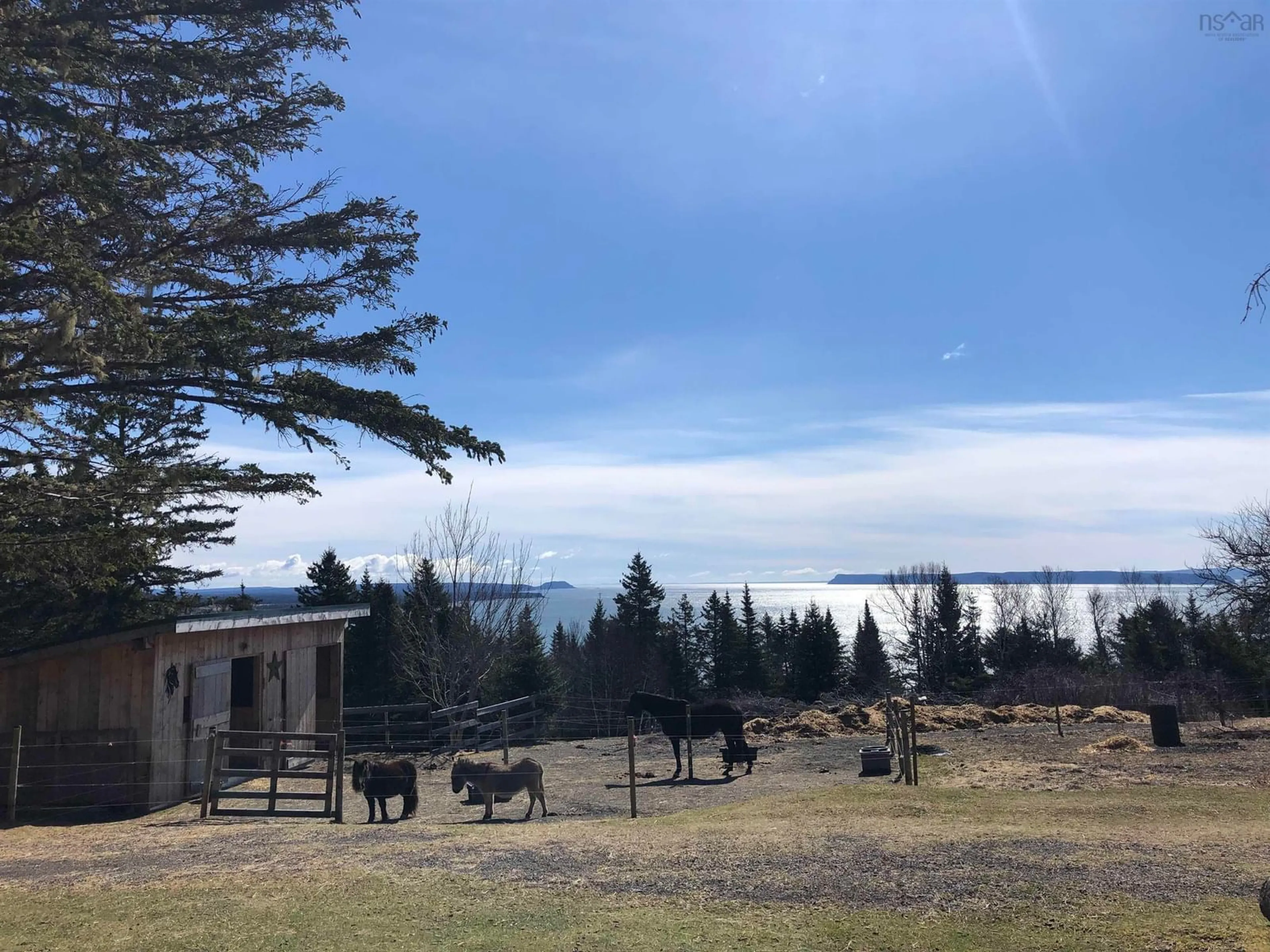 A pic from outside/outdoor area/front of a property/back of a property/a pic from drone, mountain view for 7787 Highway 209, Brookville Nova Scotia B0M 1S0