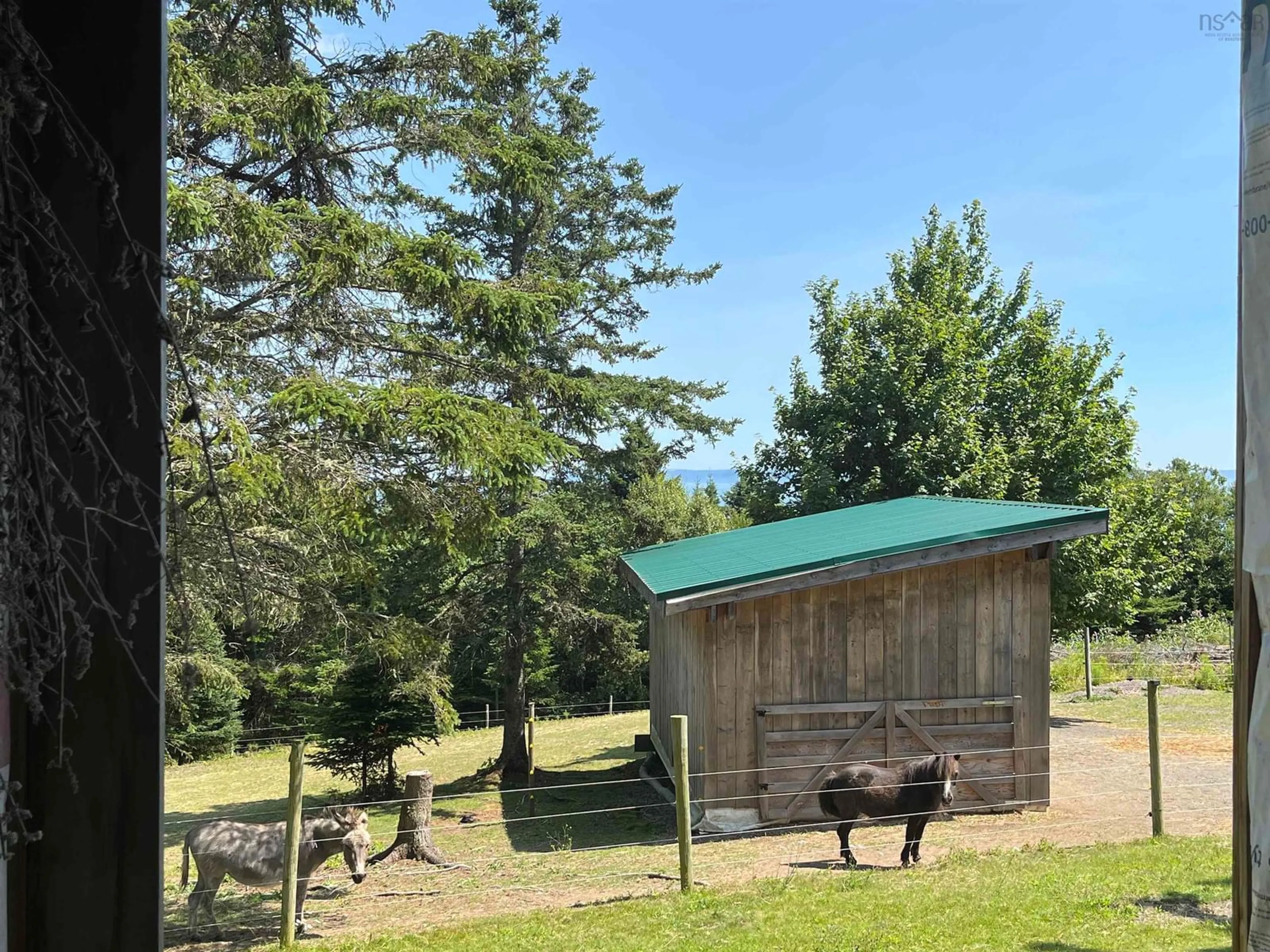 Shed for 7787 Highway 209, Brookville Nova Scotia B0M 1S0