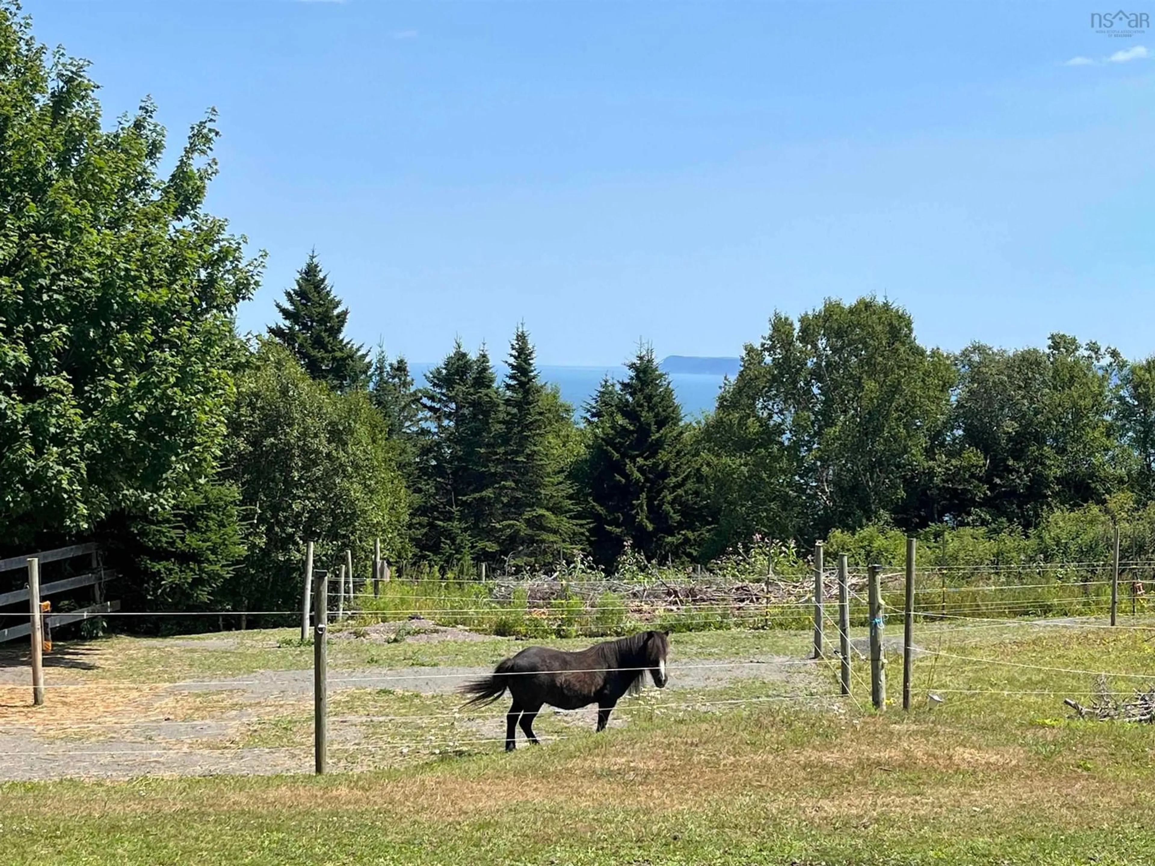 A pic from outside/outdoor area/front of a property/back of a property/a pic from drone, mountain view for 7787 Highway 209, Brookville Nova Scotia B0M 1S0