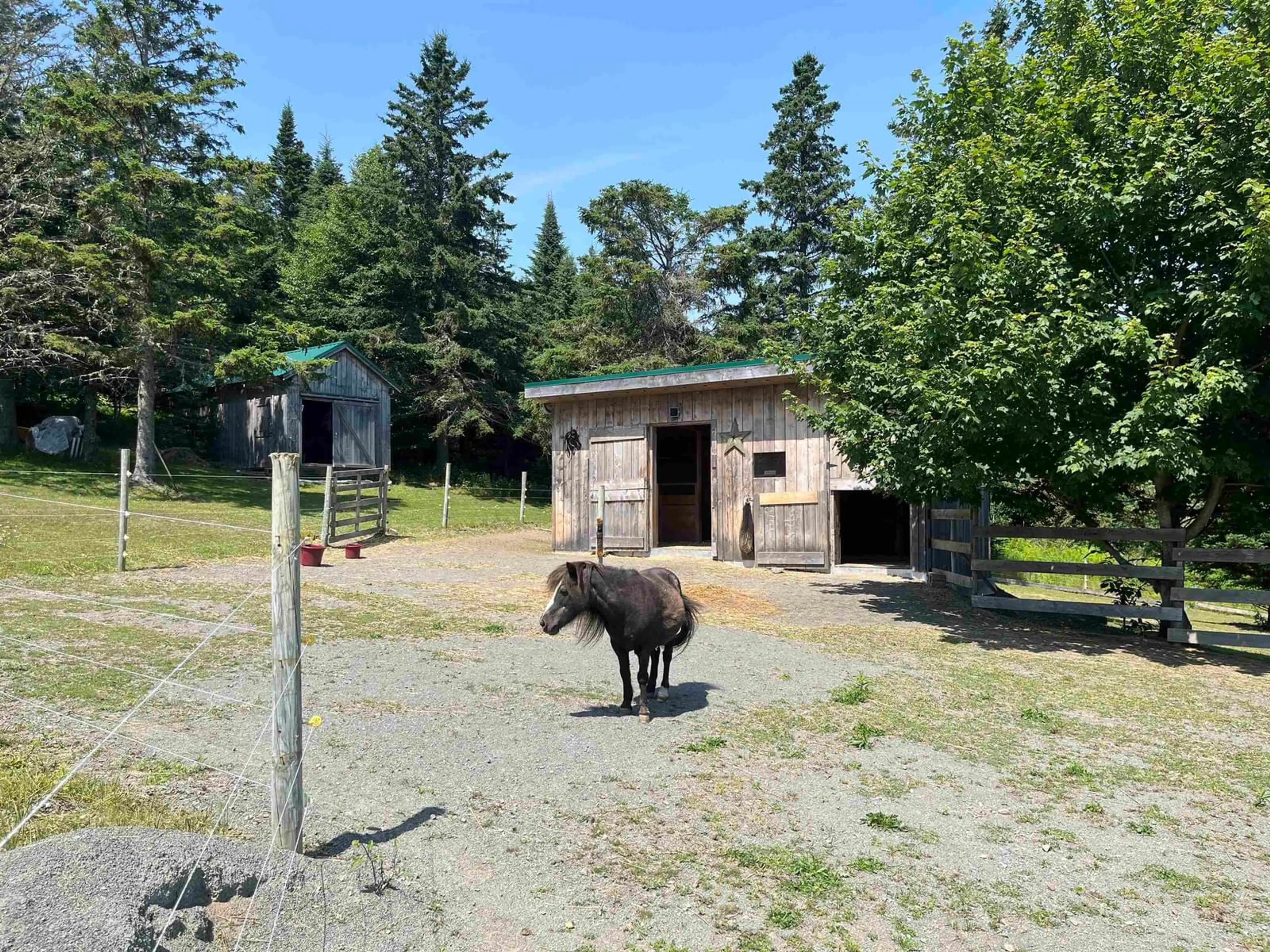 Shed for 7787 Highway 209, Brookville Nova Scotia B0M 1S0