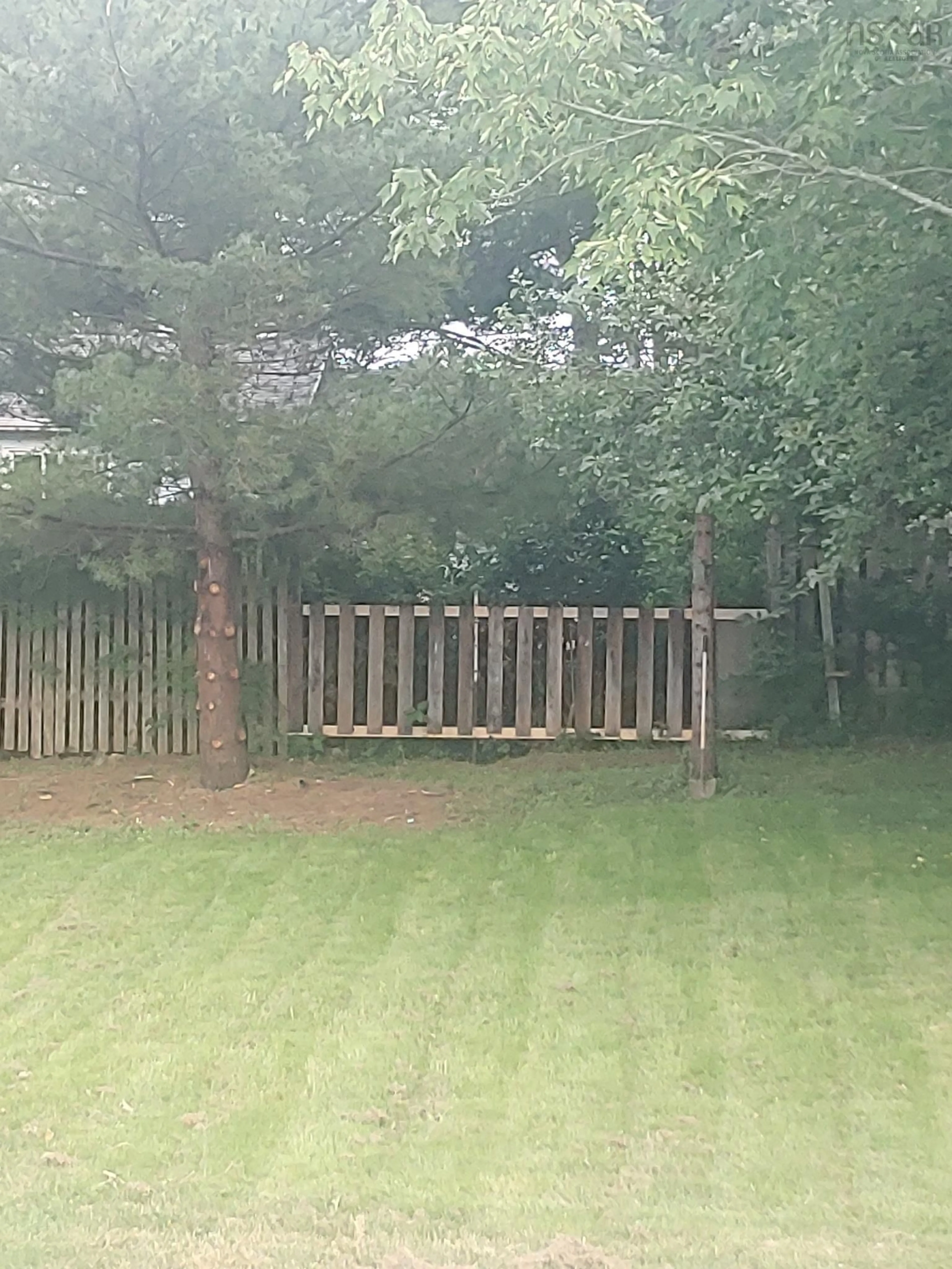 A pic from outside/outdoor area/front of a property/back of a property/a pic from drone, forest/trees view for 11 Viewville Street, Antigonish Nova Scotia B2G 1E1