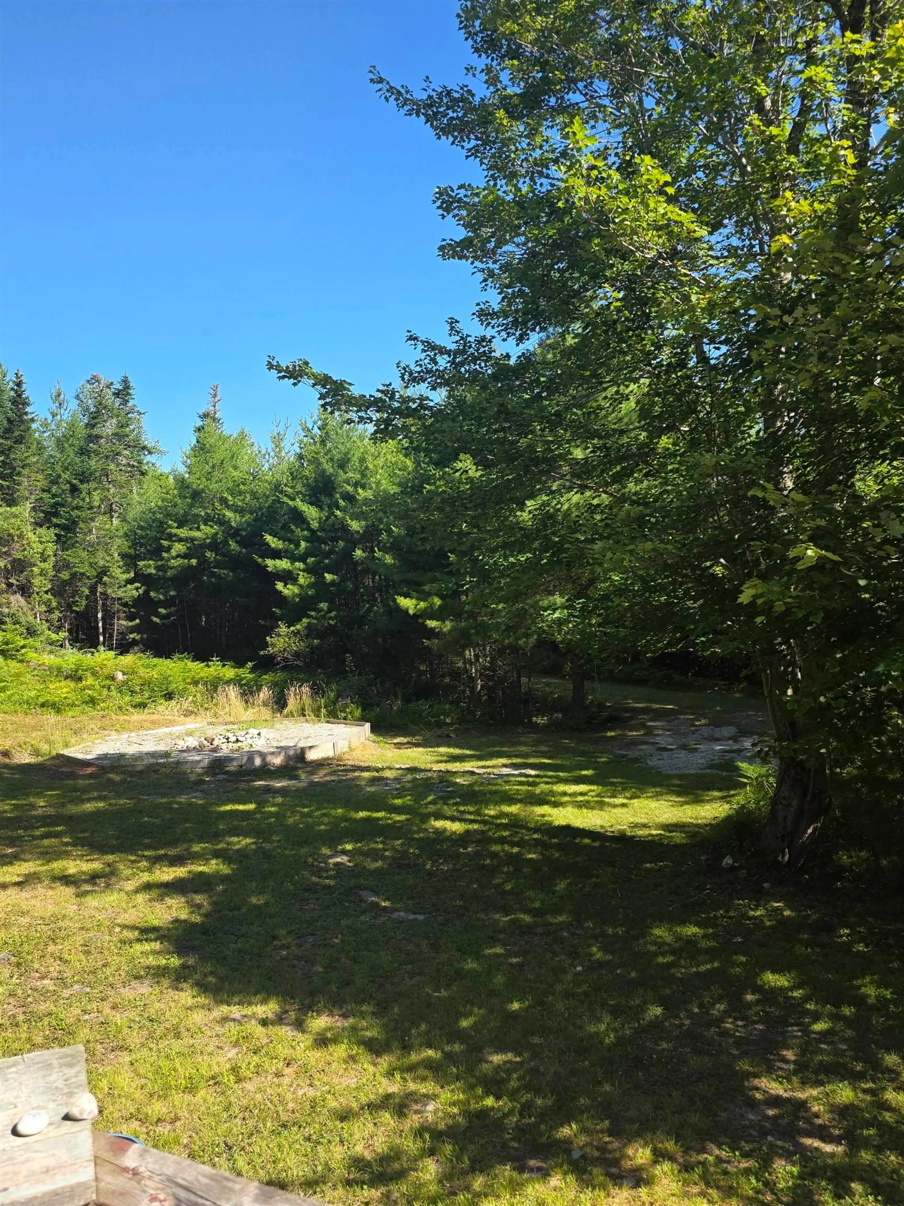 A pic from outside/outdoor area/front of a property/back of a property/a pic from drone, forest/trees view for 6946 Upper Clyde Rd, Upper Clyde Nova Scotia B0T 1W0