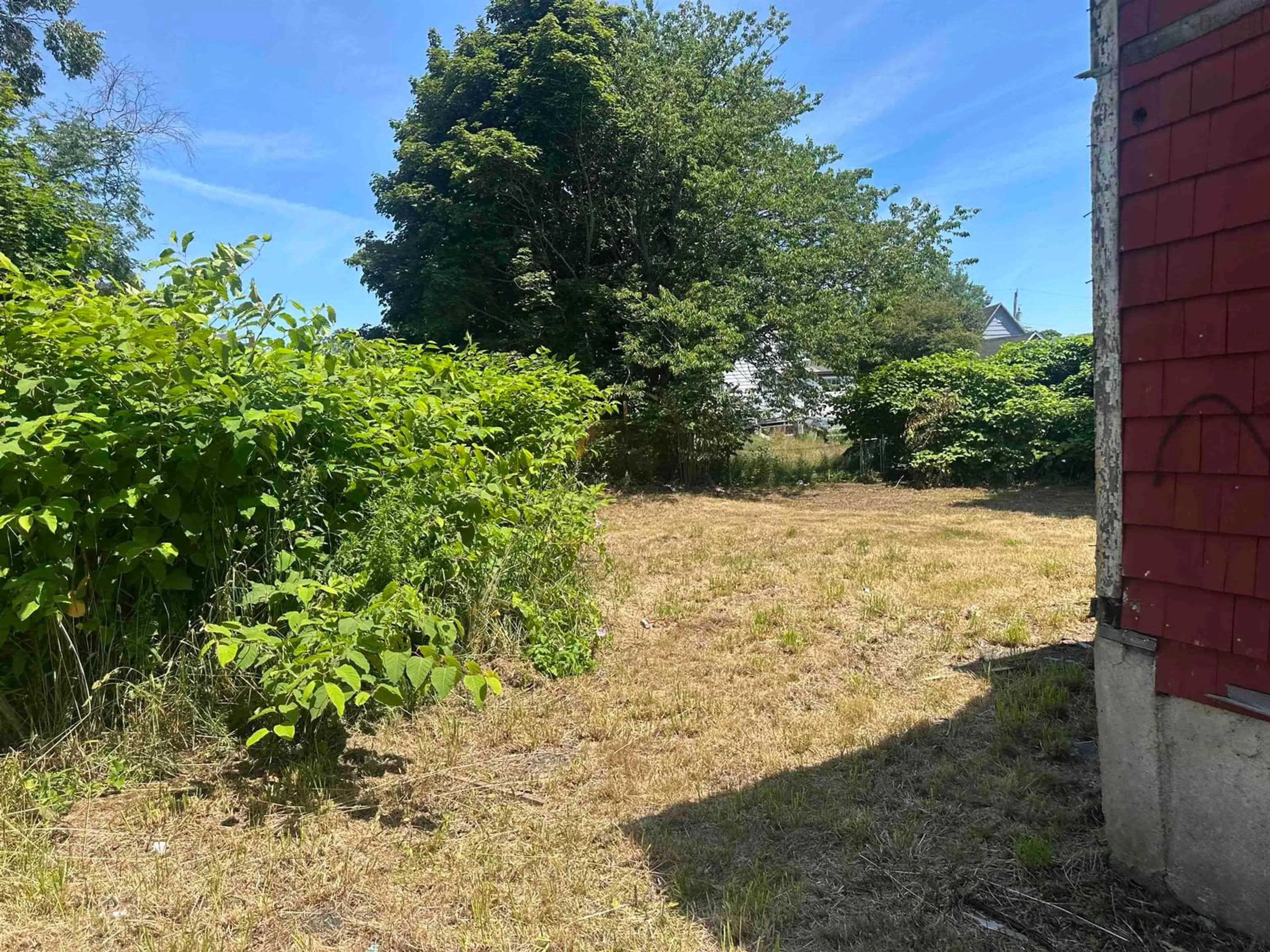 A pic from outside/outdoor area/front of a property/back of a property/a pic from drone, forest/trees view for 99 Peppett St, North Sydney Nova Scotia B1S 1G3