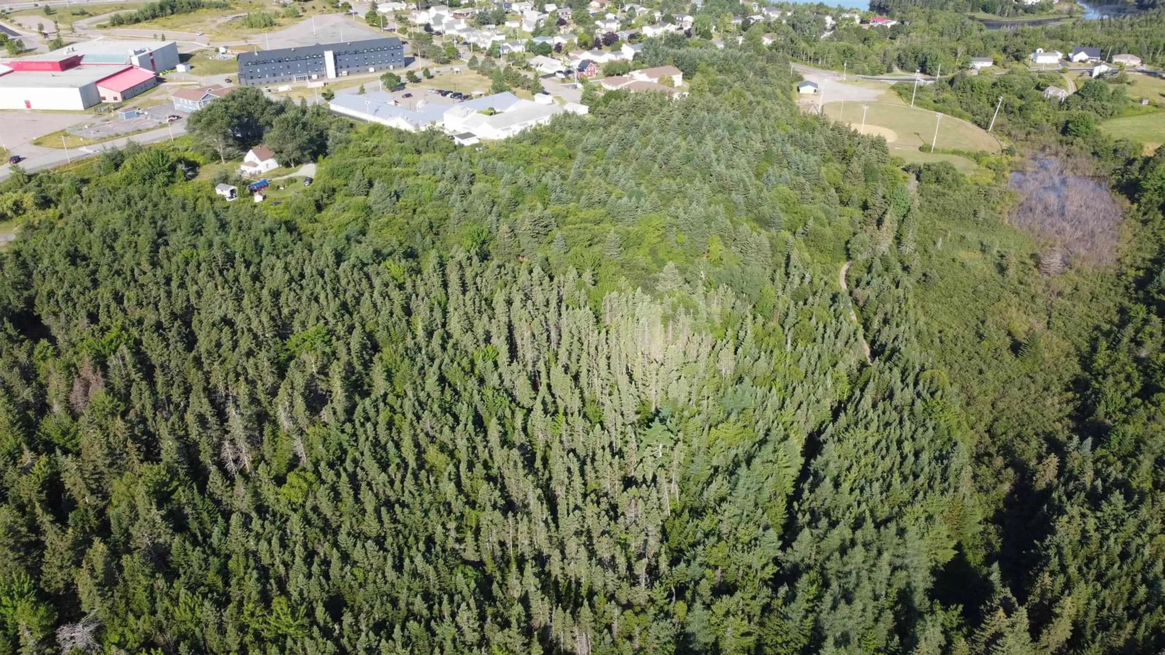 A pic from outside/outdoor area/front of a property/back of a property/a pic from drone, forest/trees view for 6 Macquarrie Drive Exten, Port Hawkesbury Nova Scotia B9A 3S9