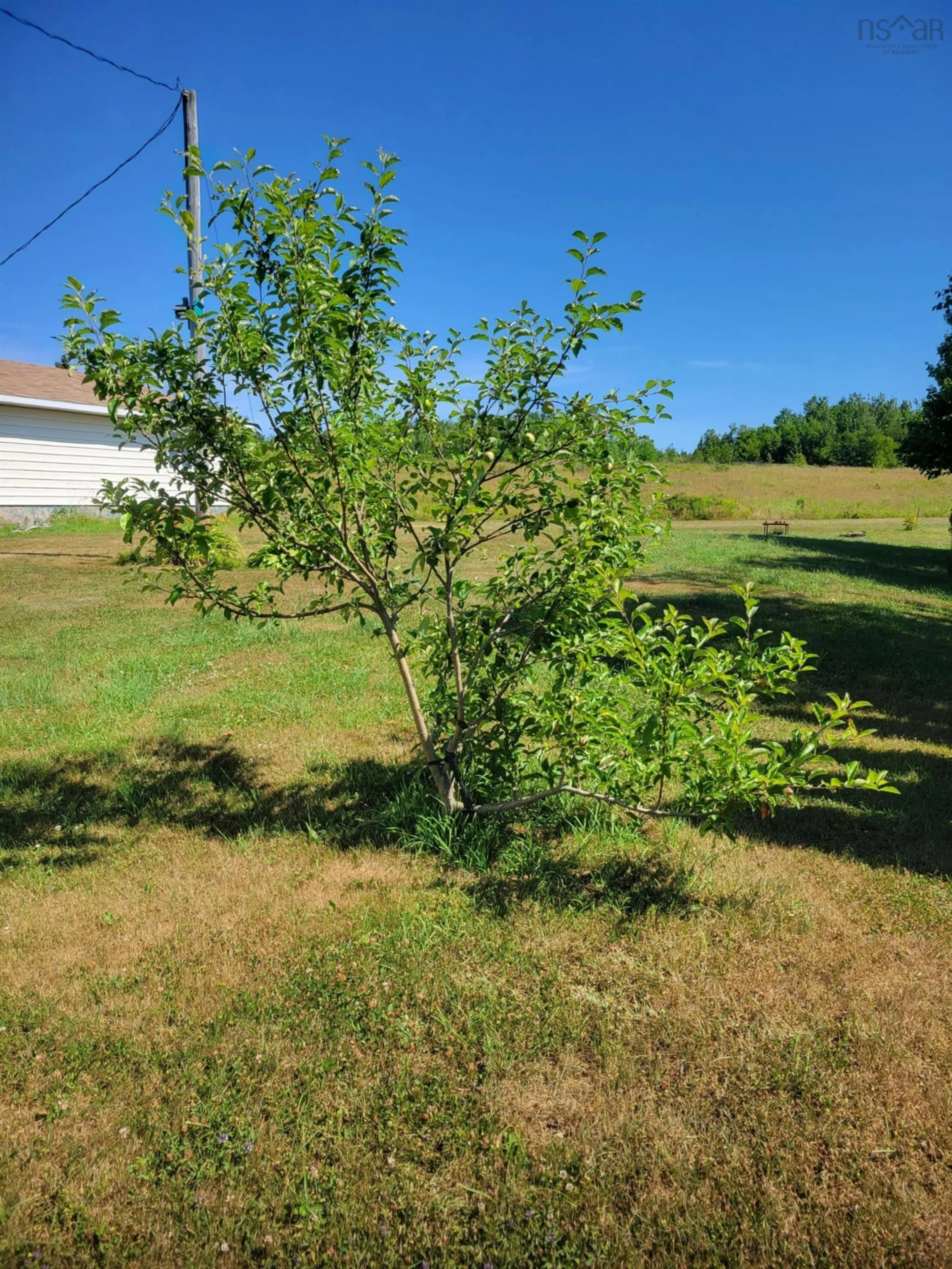 Unknown for 716 Little Pond Rd, Florence Nova Scotia B1Y 1S7