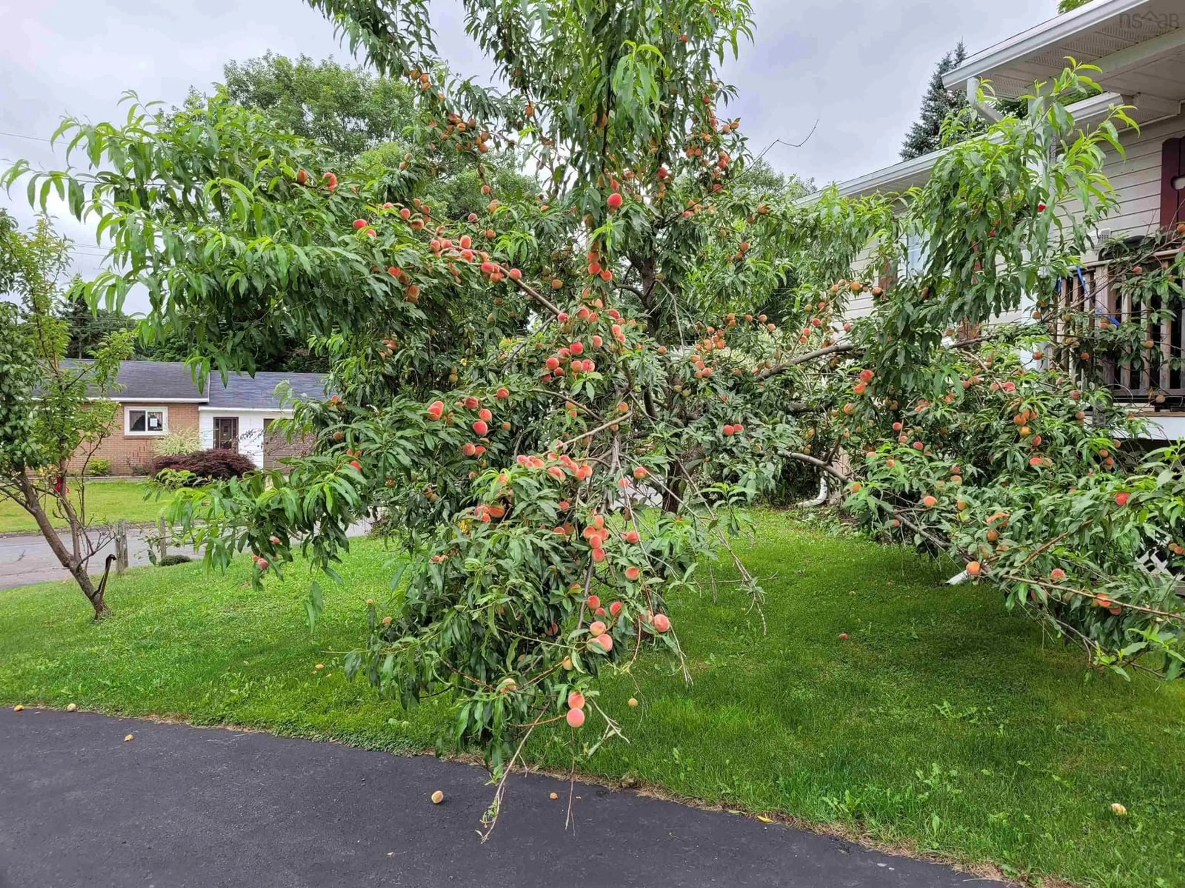 A pic from outside/outdoor area/front of a property/back of a property/a pic from drone, street for 333 Queen St, New Glasgow Nova Scotia B2H 6A6