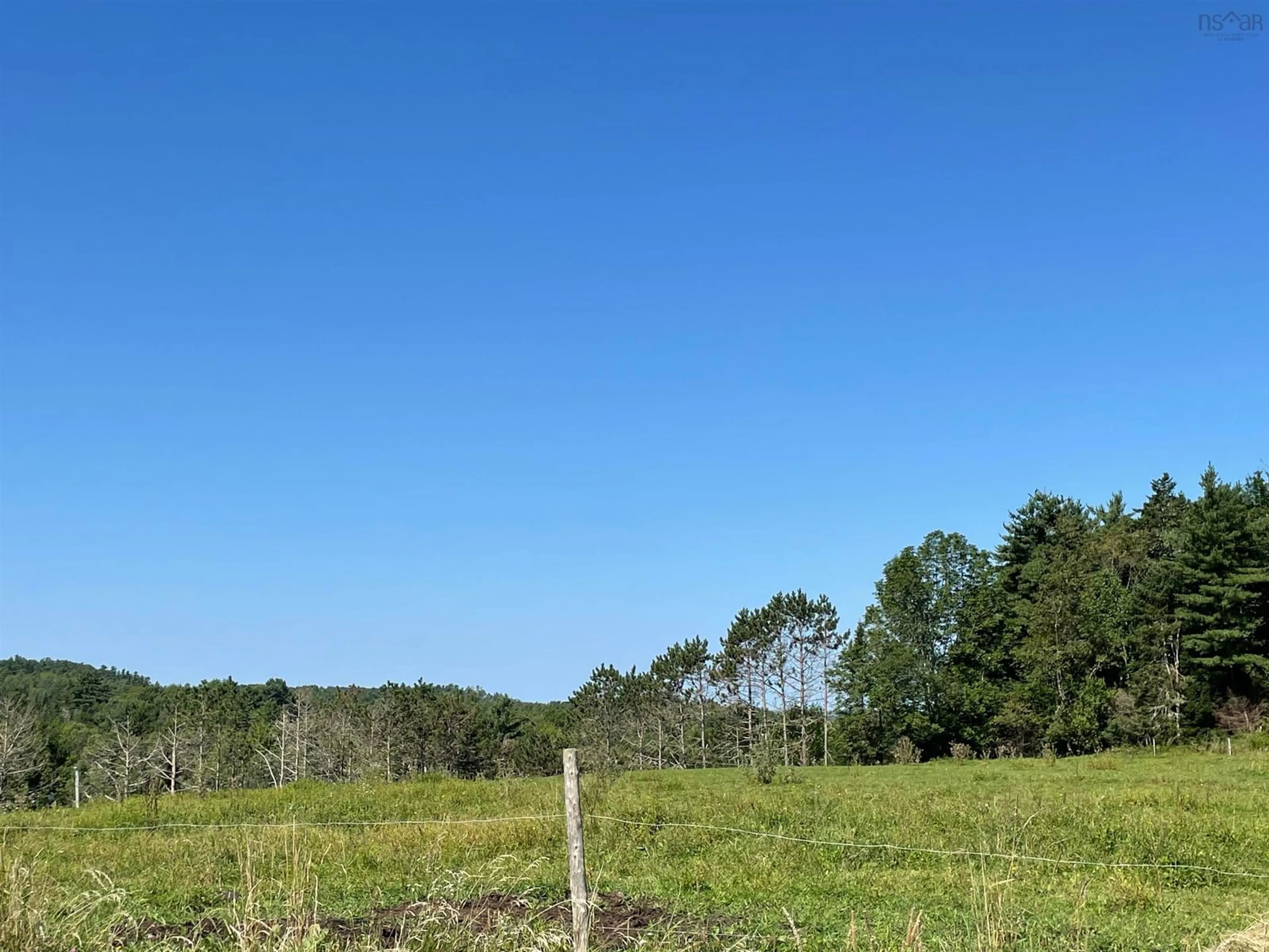 A pic from outside/outdoor area/front of a property/back of a property/a pic from drone, forest/trees view for 550 Lower Branch Rd, Lower Branch Nova Scotia B4V 4M1