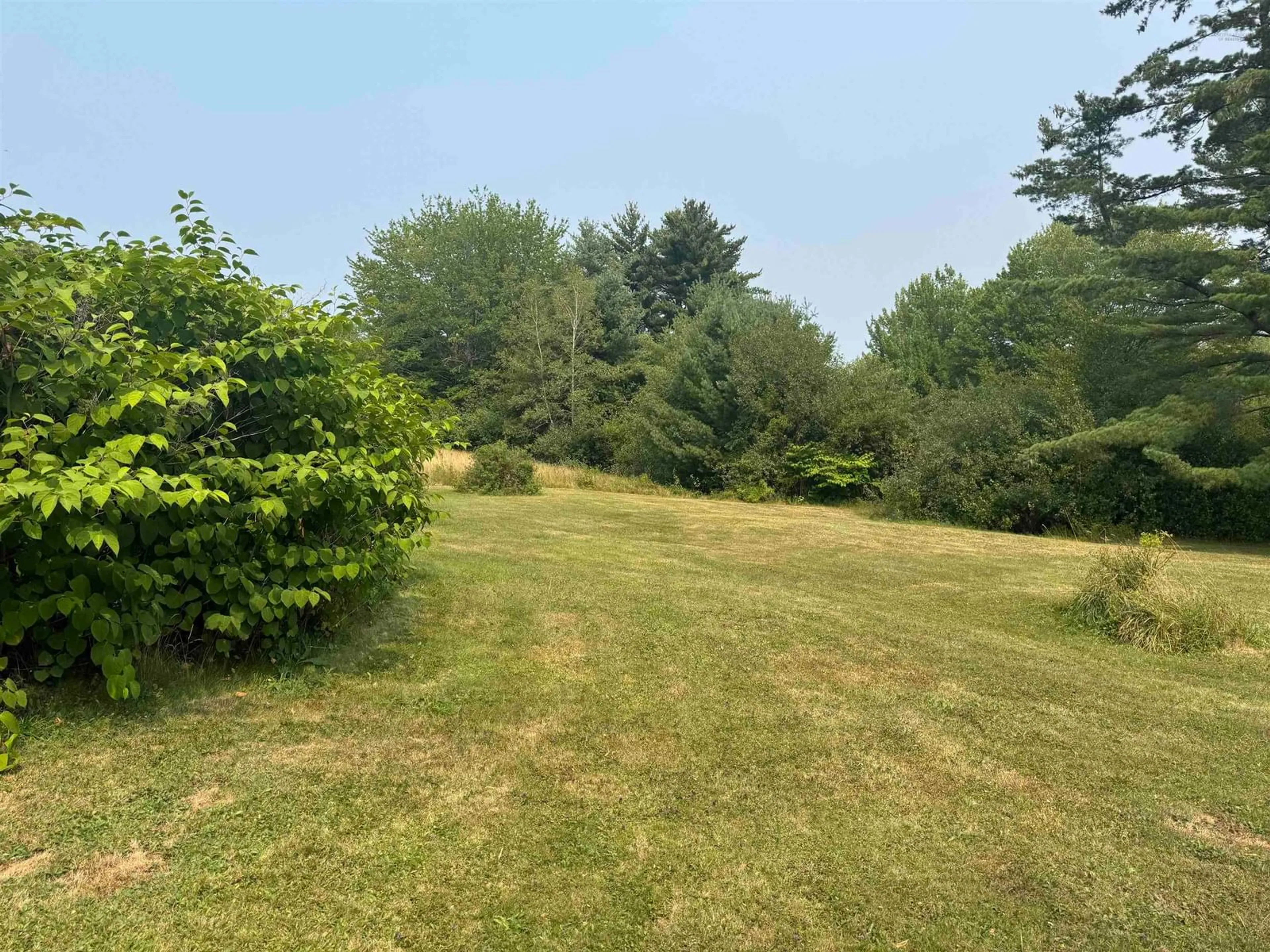 A pic from outside/outdoor area/front of a property/back of a property/a pic from drone, forest/trees view for 1139 Old Westfield Rd, Westfield Nova Scotia B0T 1B0