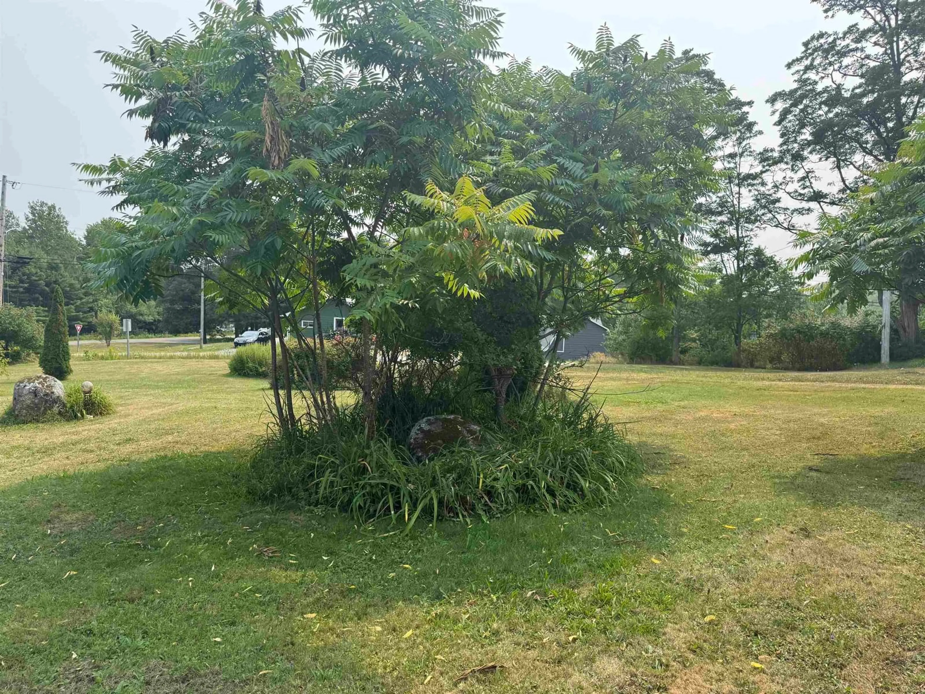 A pic from outside/outdoor area/front of a property/back of a property/a pic from drone, forest/trees view for 1139 Old Westfield Rd, Westfield Nova Scotia B0T 1B0
