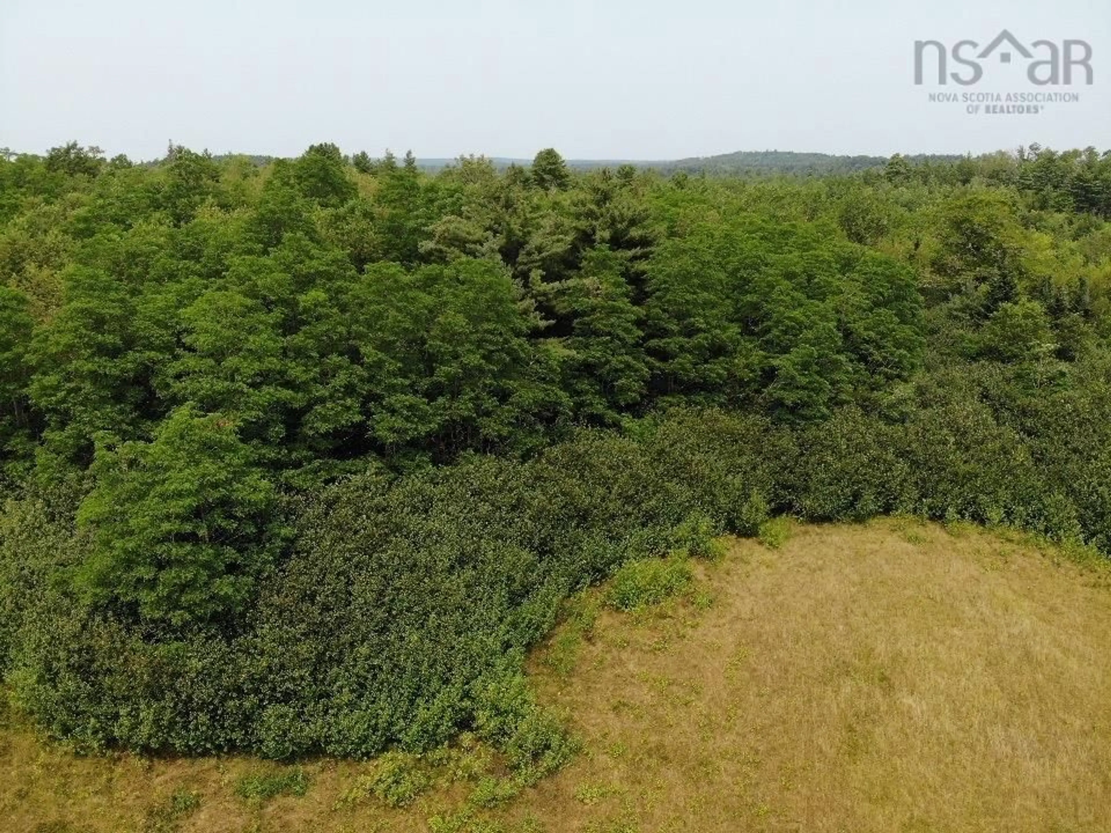 A pic from outside/outdoor area/front of a property/back of a property/a pic from drone, forest/trees view for 1139 Old Westfield Rd, Westfield Nova Scotia B0T 1B0