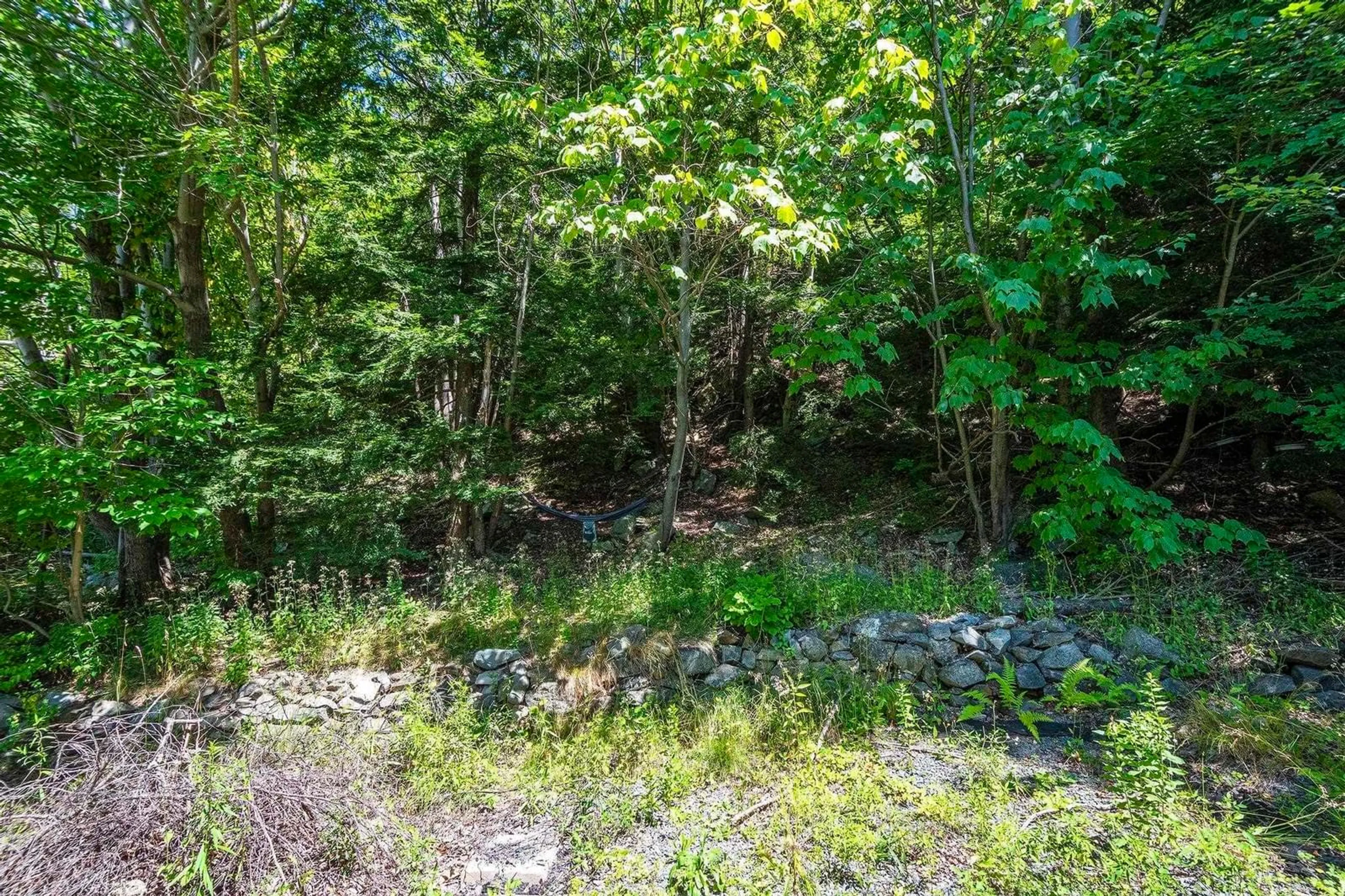 Unknown for 79 Mountain Ave, Dartmouth Nova Scotia B2X 1X9