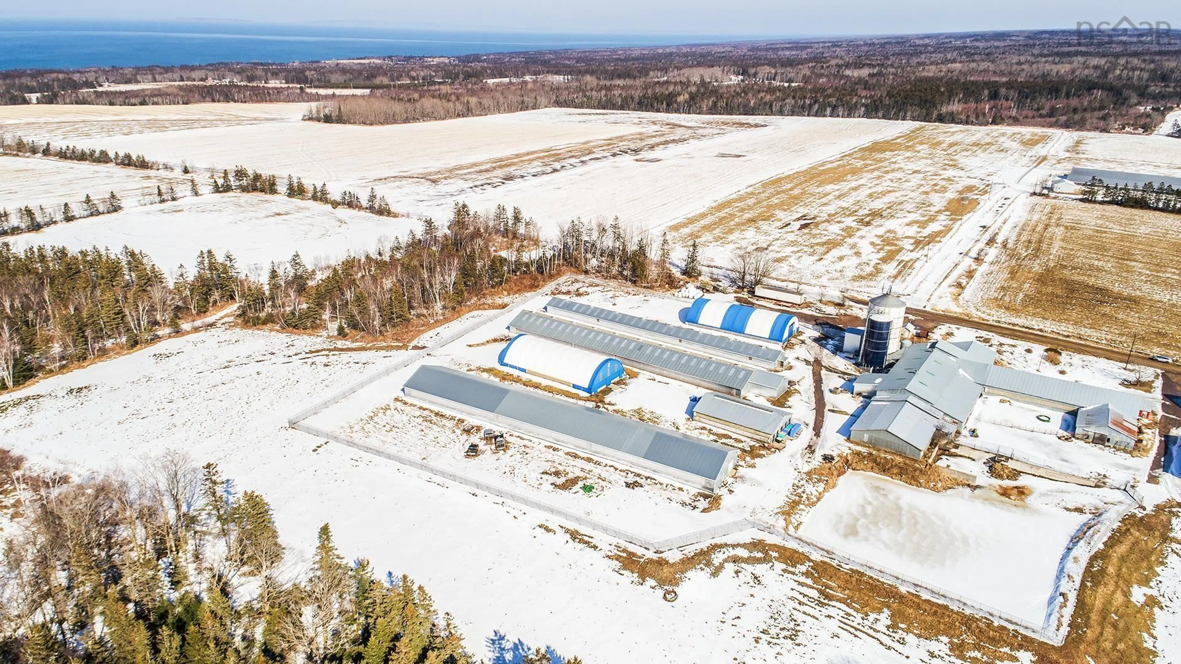 A pic from outside/outdoor area/front of a property/back of a property/a pic from drone, building for 1871 Dodge Rd, Forest Glade Nova Scotia B0P 1R0