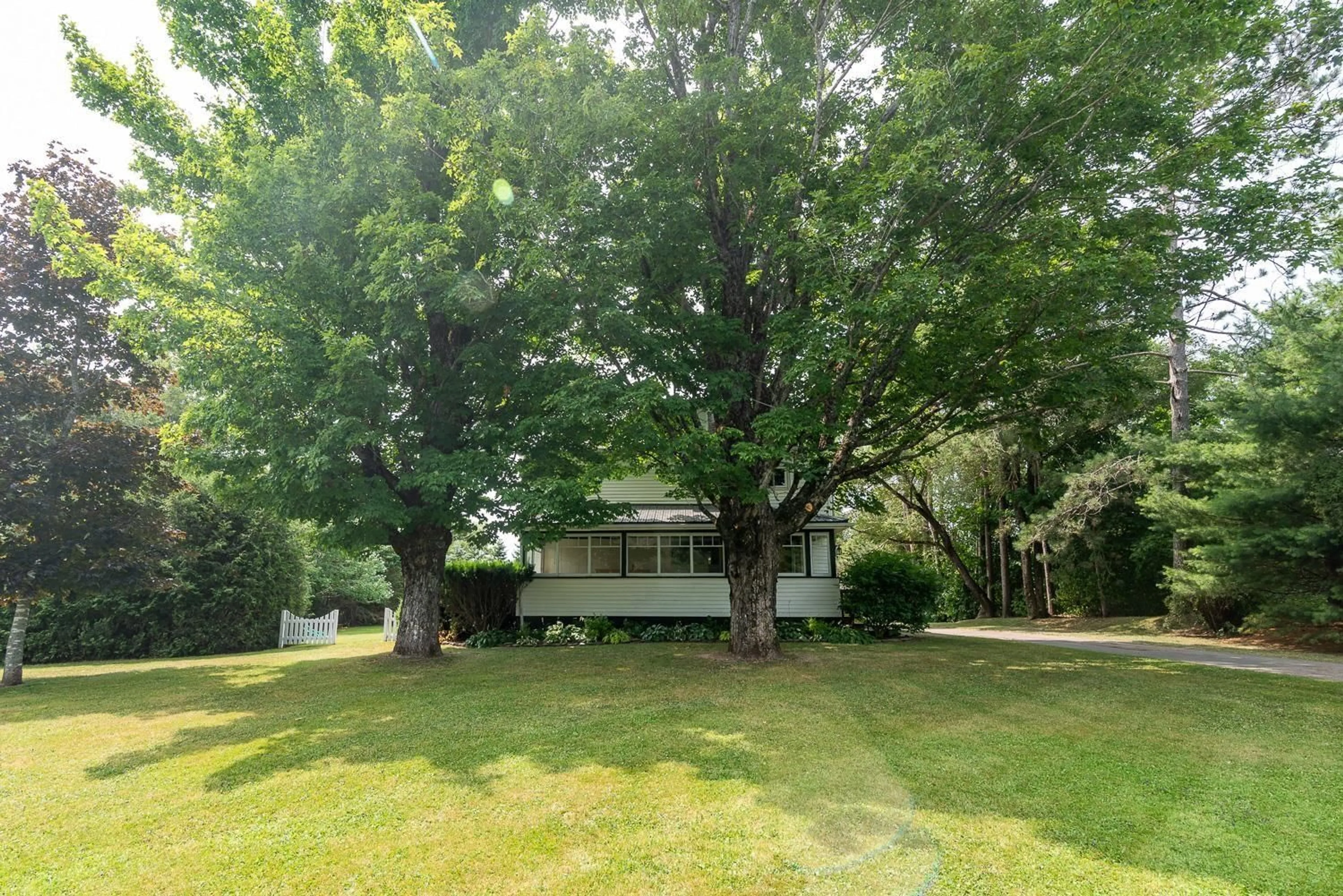 A pic from outside/outdoor area/front of a property/back of a property/a pic from drone, forest/trees view for 538 Highway 2, Brookfield Nova Scotia B0N 1C0