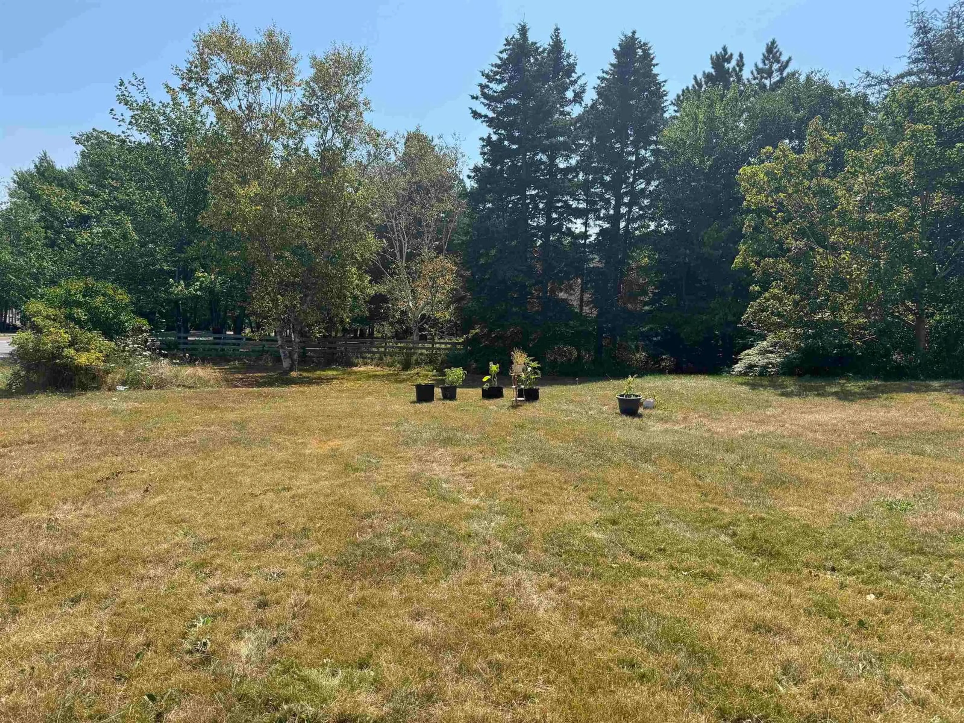A pic from outside/outdoor area/front of a property/back of a property/a pic from drone, forest/trees view for 1009 Little Pond Road Rd, Little Pond Nova Scotia B1Y 1T2