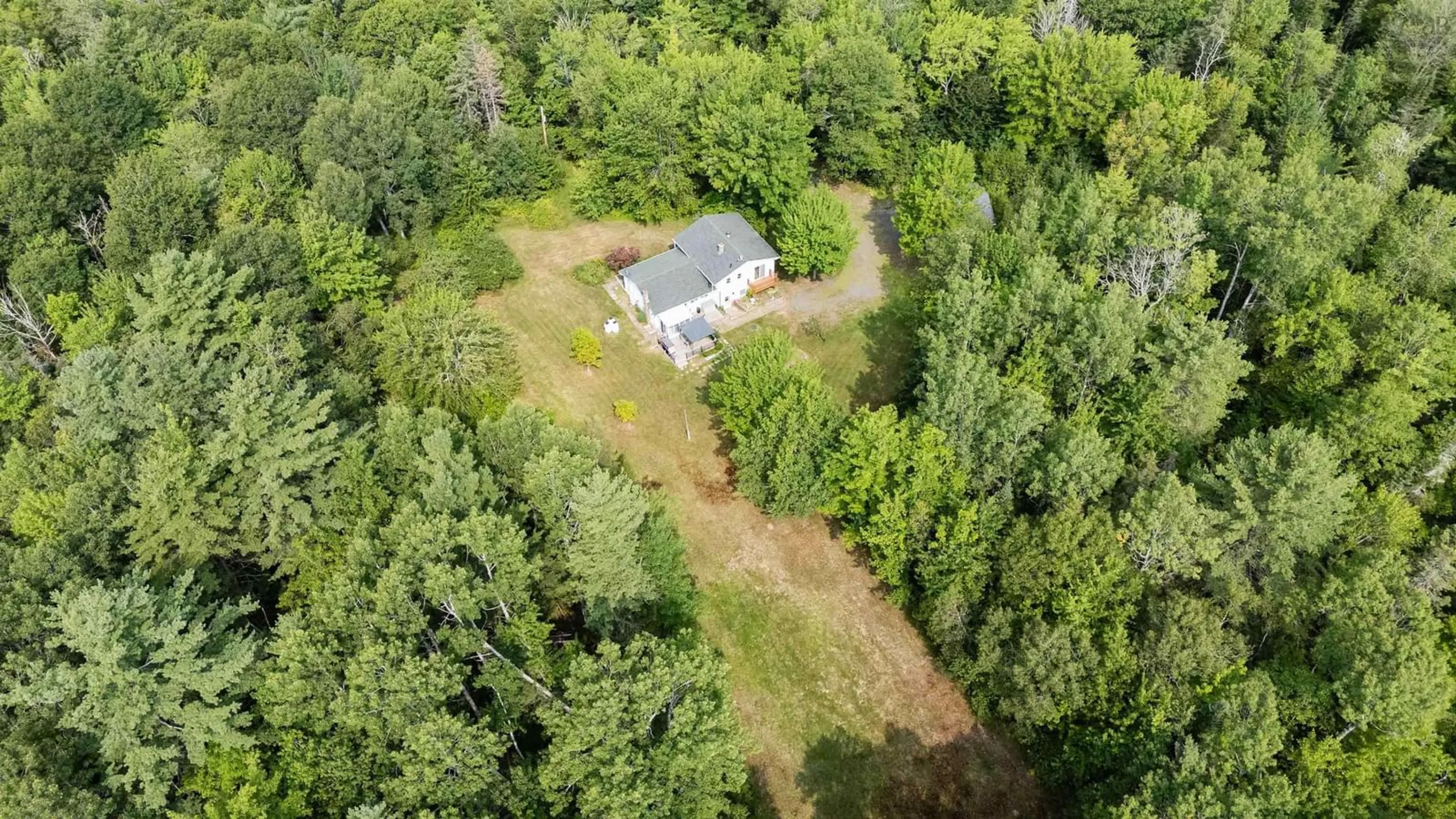 A pic from outside/outdoor area/front of a property/back of a property/a pic from drone, forest/trees view for 1097 Bog Rd, Falmouth Nova Scotia B0P 1P0