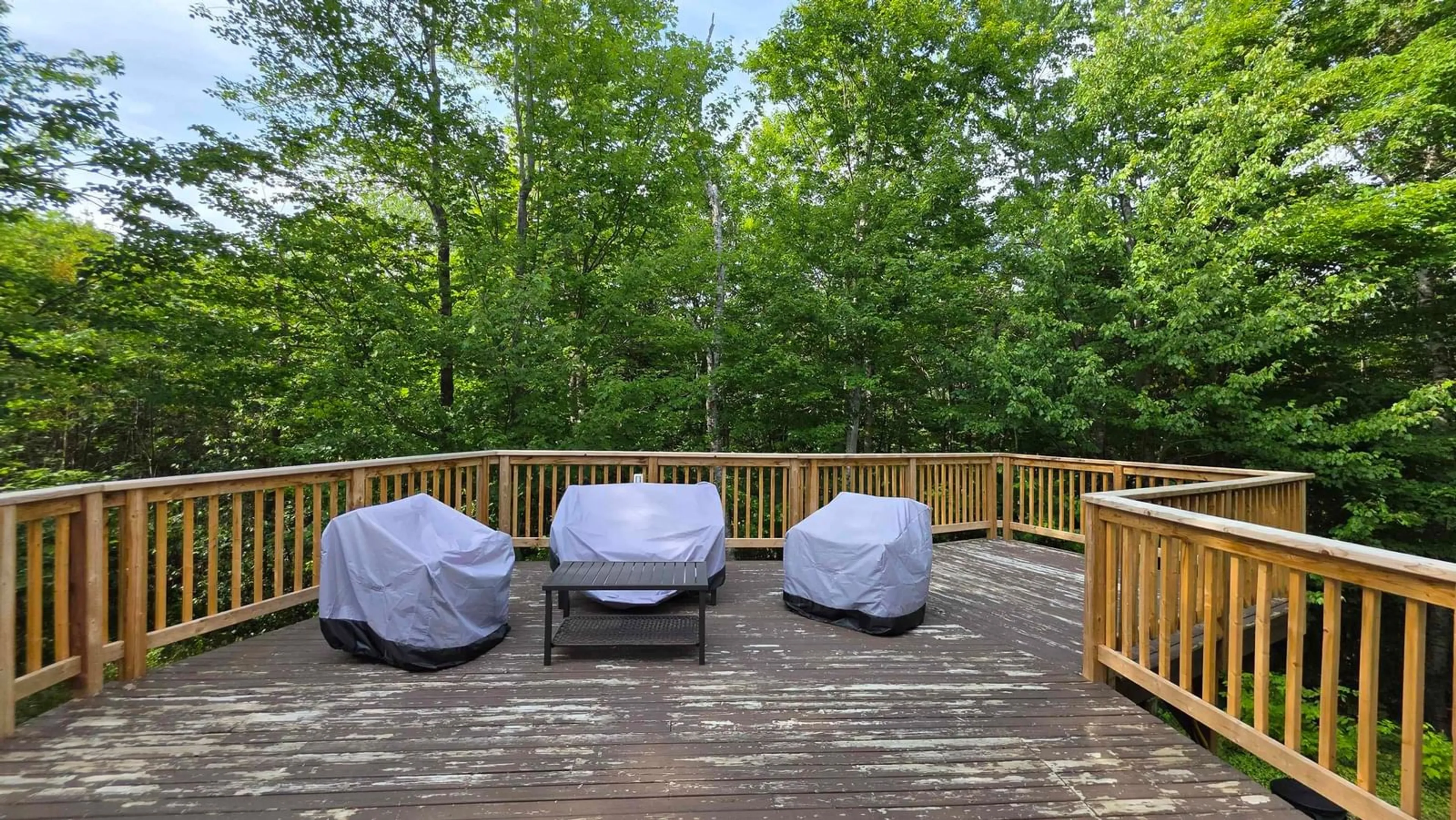Patio, forest/trees view for 56 Woodvale Pl, New Minas Nova Scotia B4N 4L7