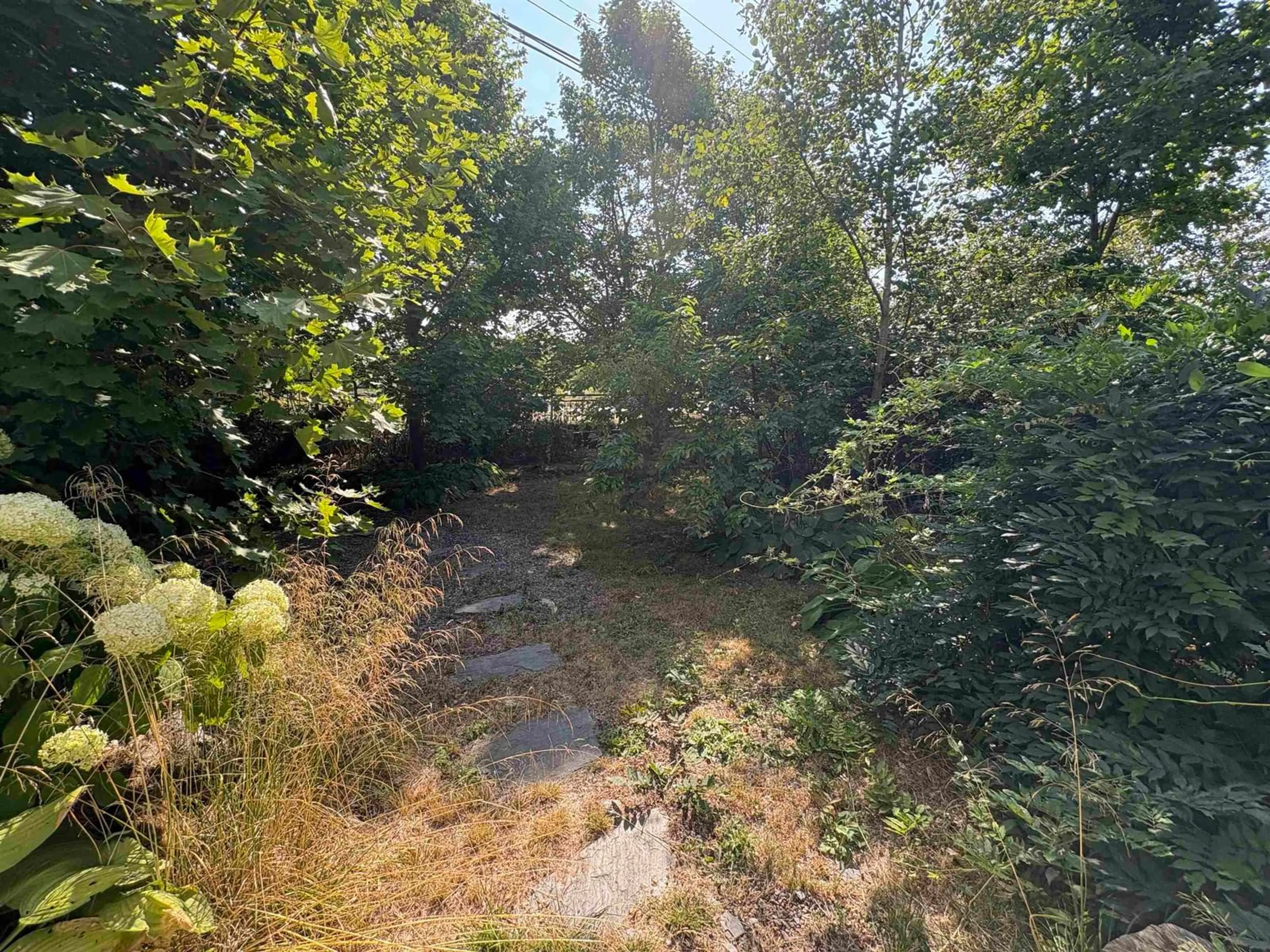 A pic from outside/outdoor area/front of a property/back of a property/a pic from drone, forest/trees view for 220 Highway 2, Enfield Nova Scotia B2T 1C9