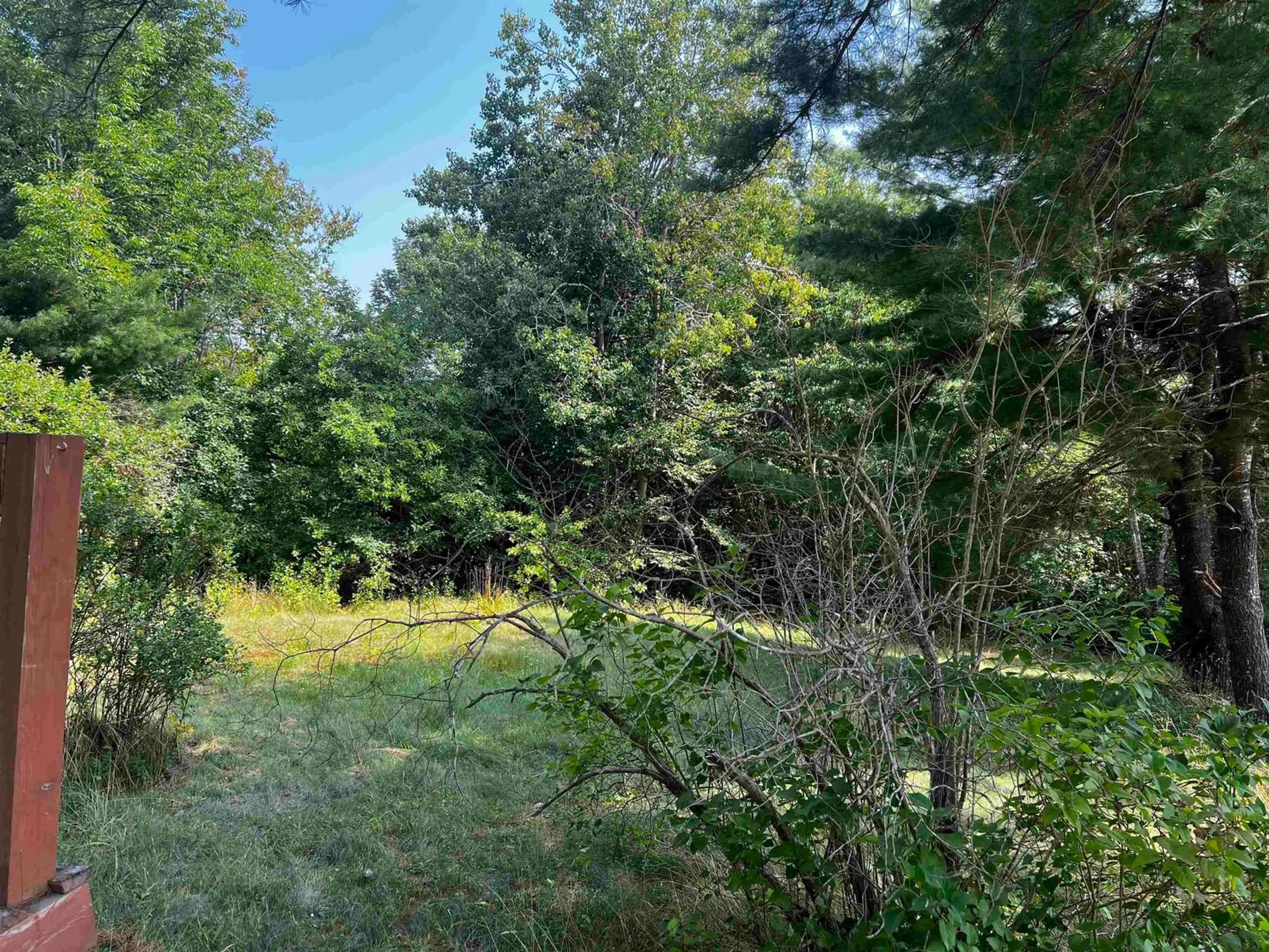 A pic from outside/outdoor area/front of a property/back of a property/a pic from drone, forest/trees view for 35 Shine Dr, West Lochaber Nova Scotia B2G 2L3