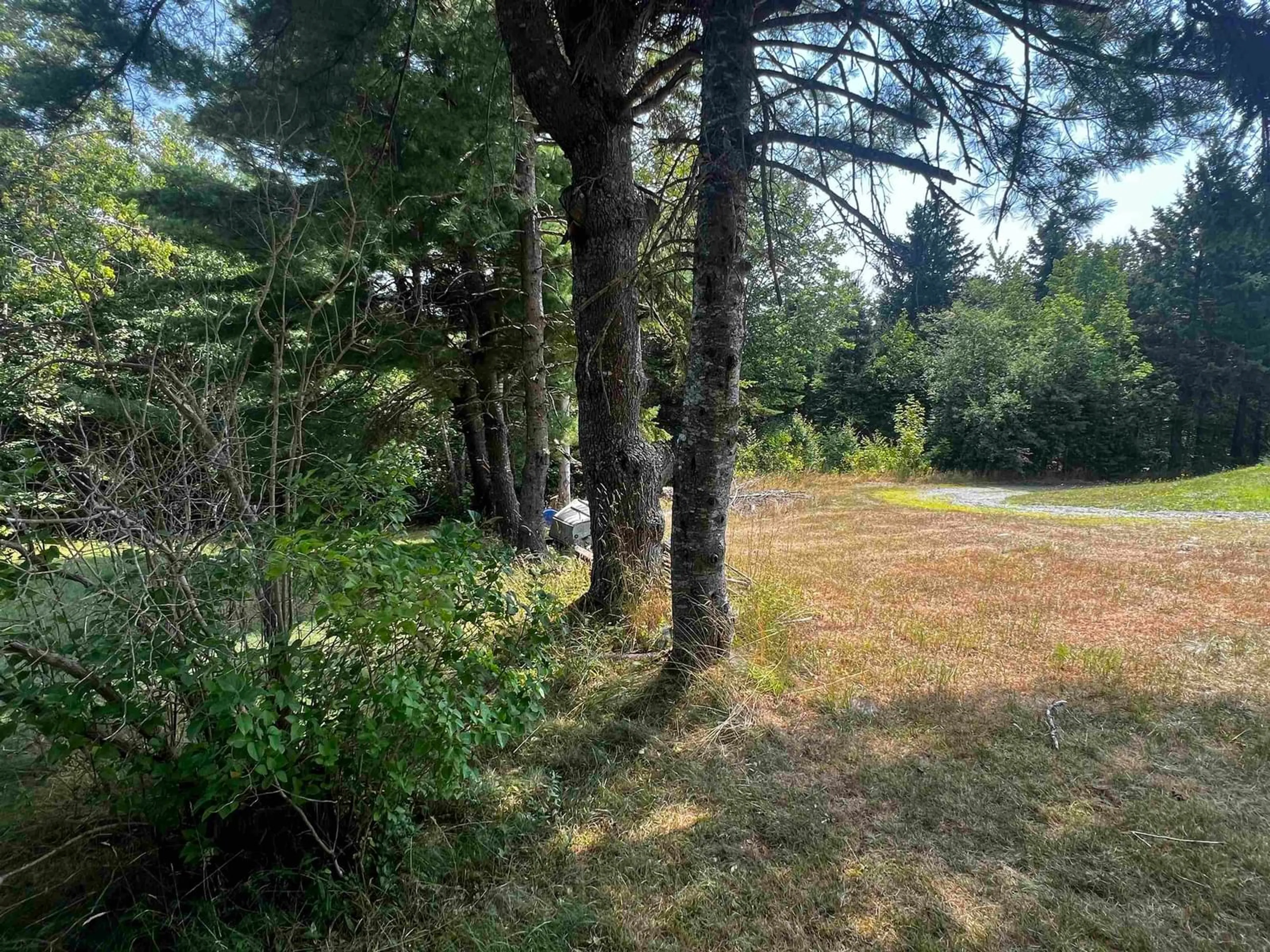A pic from outside/outdoor area/front of a property/back of a property/a pic from drone, forest/trees view for 35 Shine Dr, West Lochaber Nova Scotia B2G 2L3