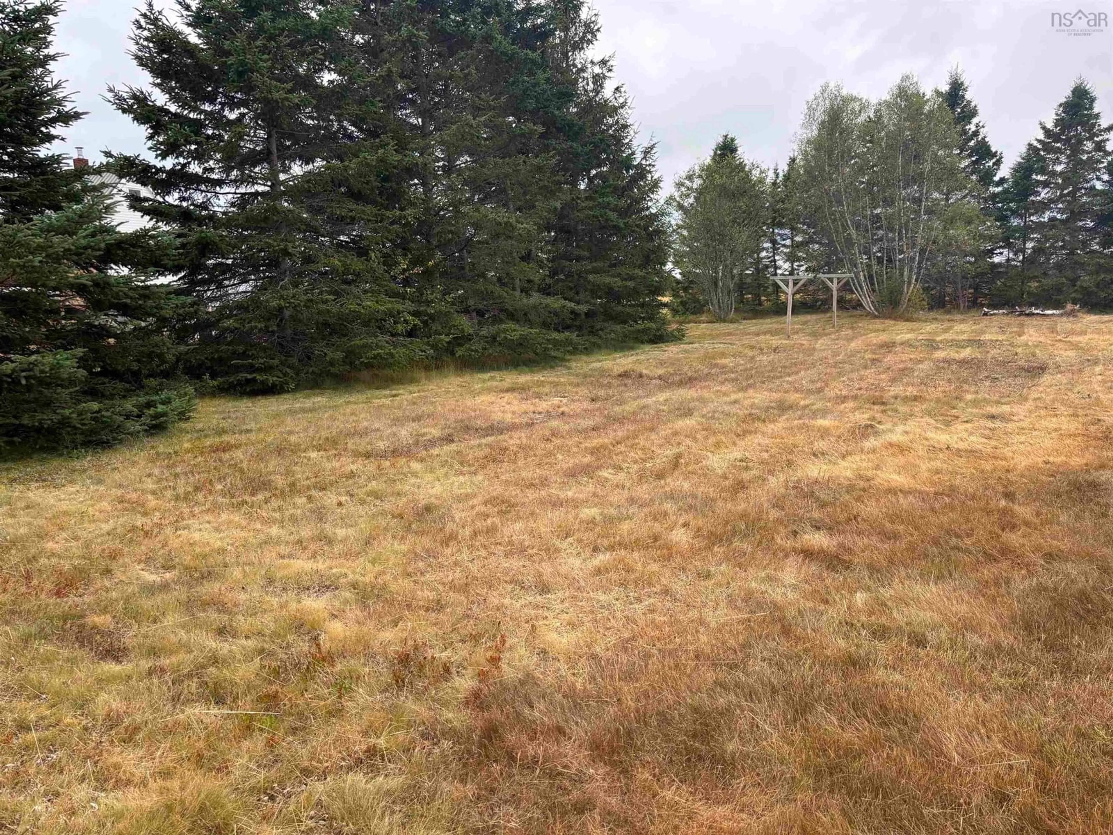 A pic from outside/outdoor area/front of a property/back of a property/a pic from drone, forest/trees view for 441 Beaverdam Rd, Parrsboro Nova Scotia B0M 1S0