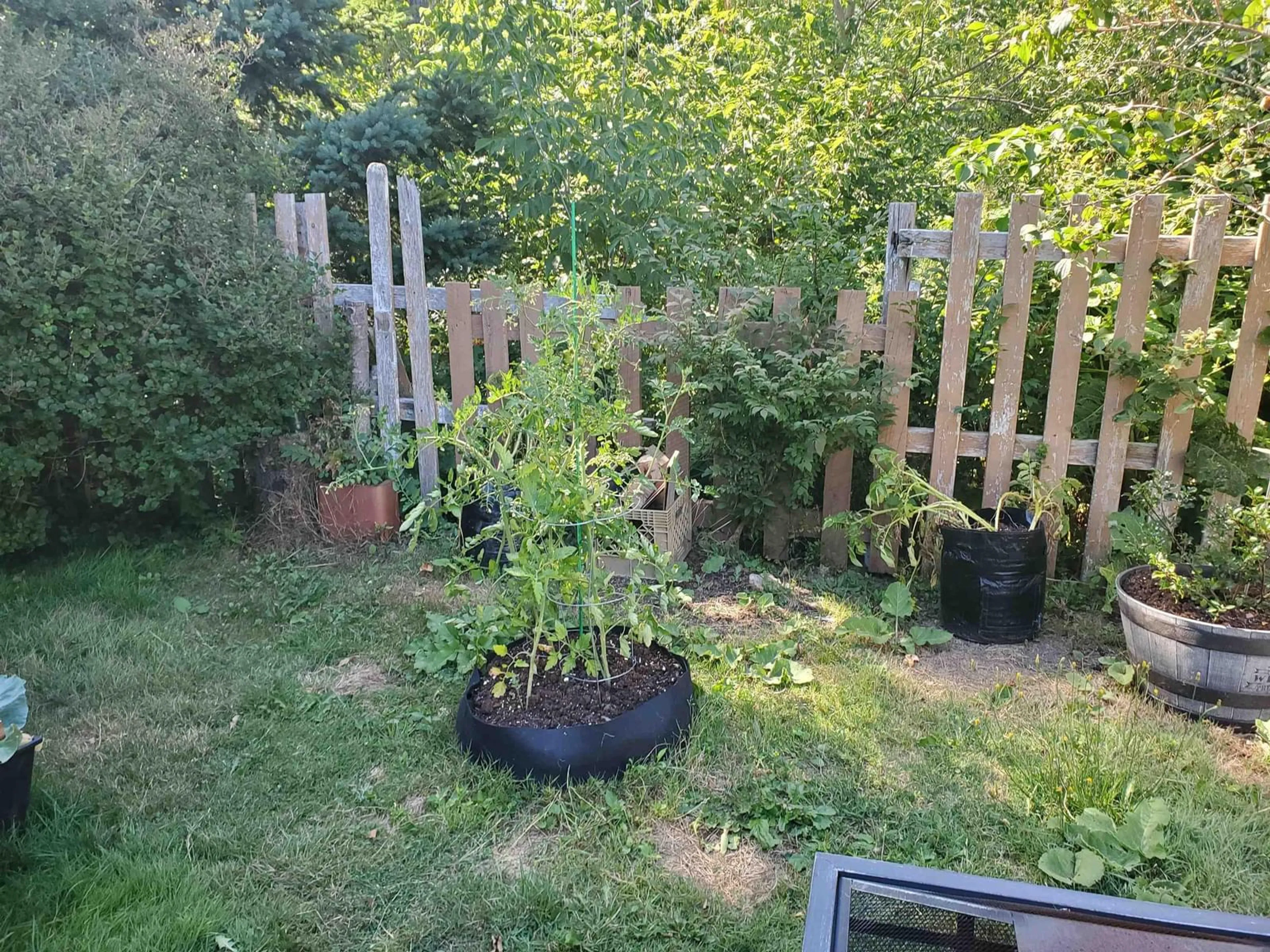 Patio, forest/trees view for 2423 Westville Rd, Westville Nova Scotia B0K 2A0