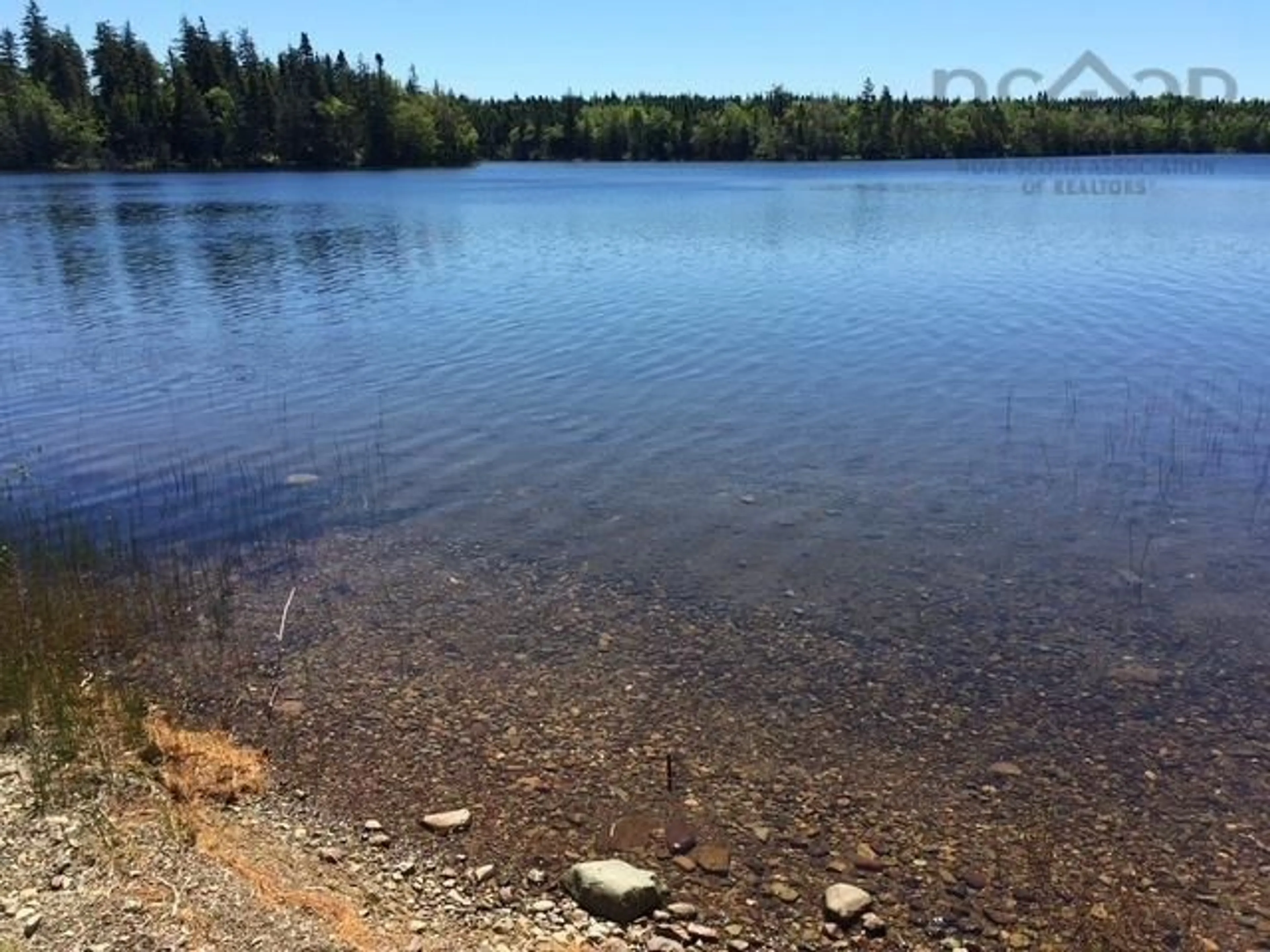 Unknown for 5000 Louisbourg Hwy, Albert Bridge Nova Scotia B1K 3T9