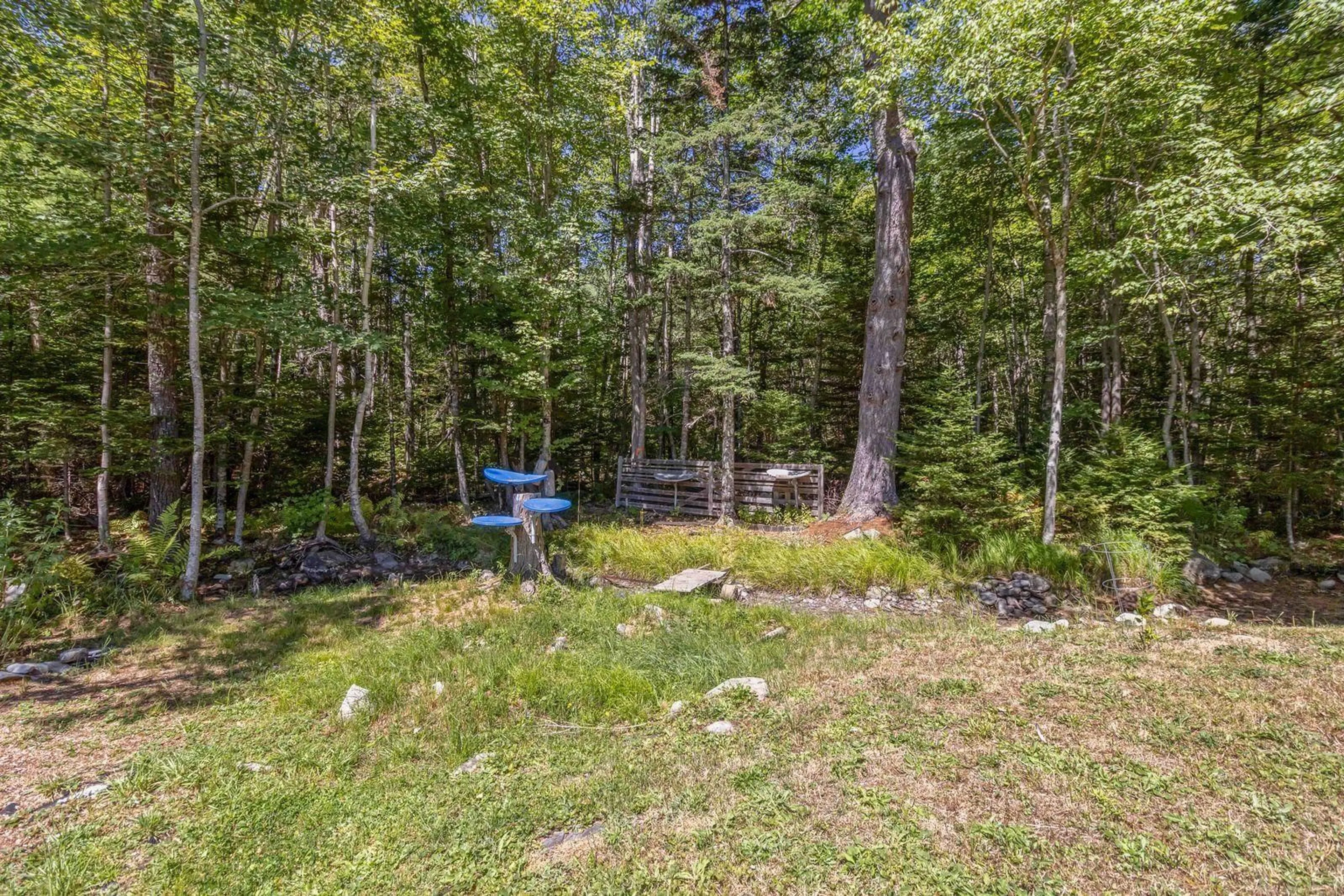 Patio, forest/trees view for 4924 Highway 210 Hwy, Greenfield Nova Scotia B0T 1E0