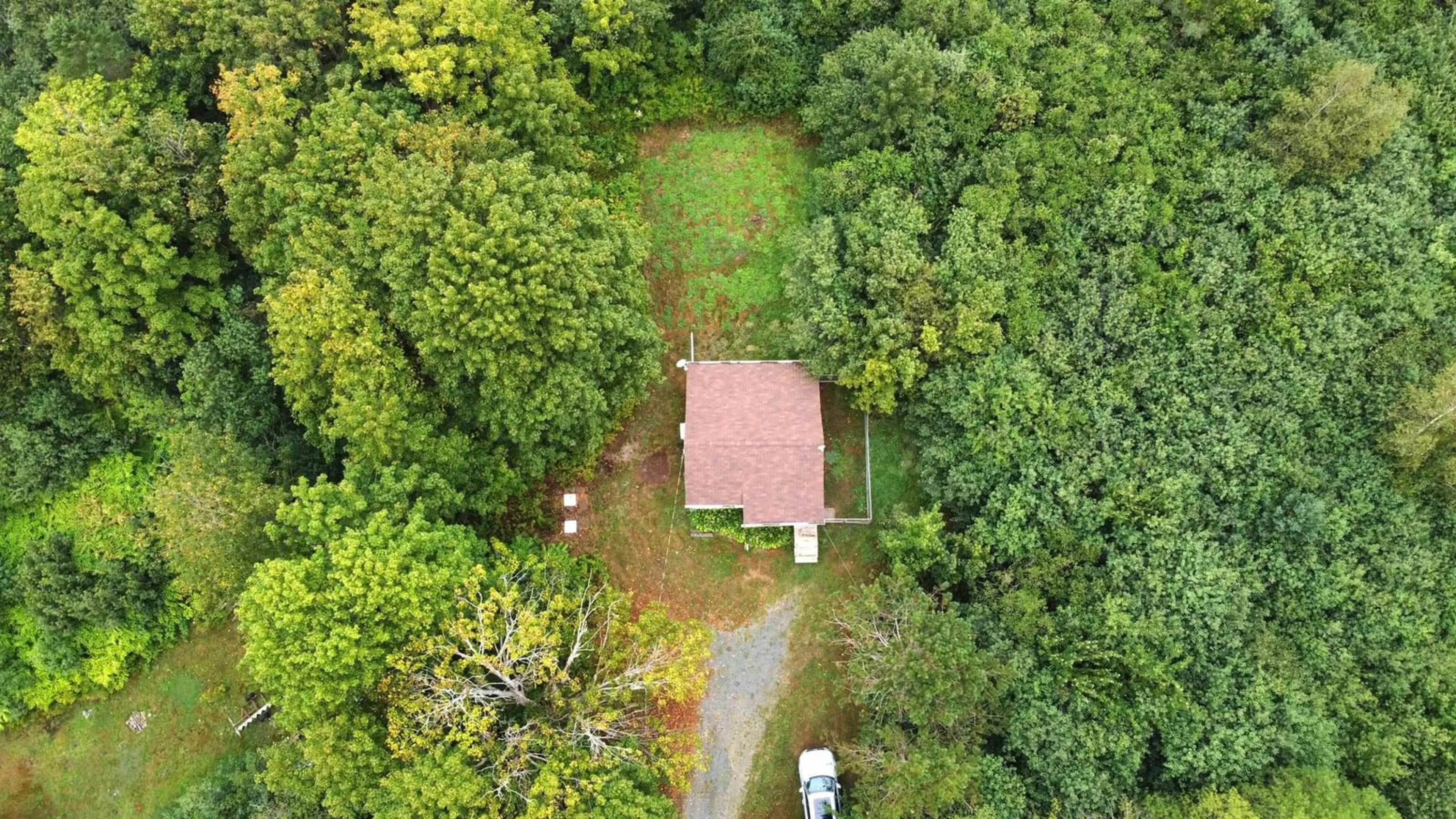 A pic from outside/outdoor area/front of a property/back of a property/a pic from drone, forest/trees view for 168 Culloden Road, Mount Pleasant Nova Scotia B0V 1A0