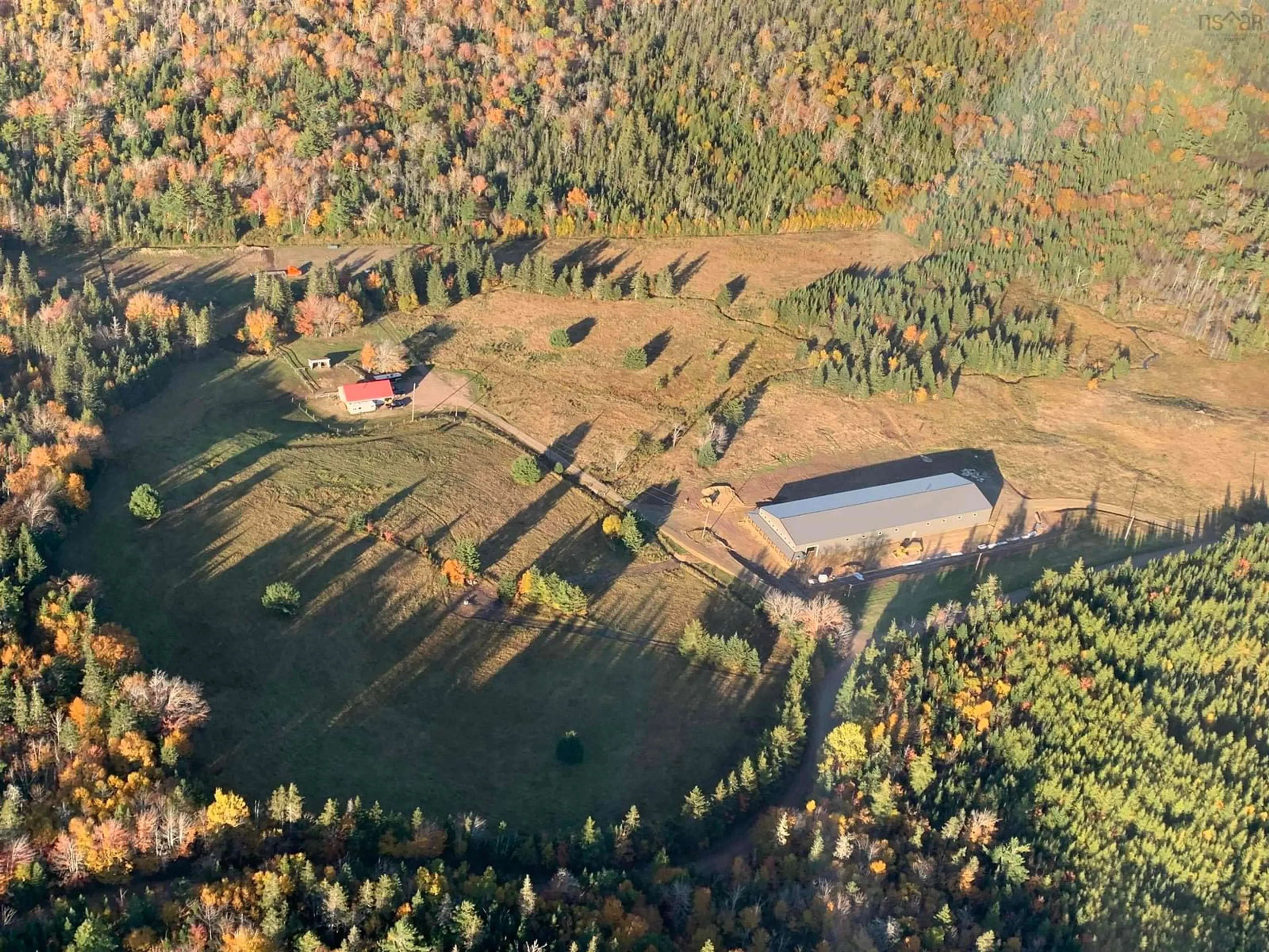 A pic from outside/outdoor area/front of a property/back of a property/a pic from drone, forest/trees view for 220 Campbell Rd, West Bay Nova Scotia B0E 2Y0