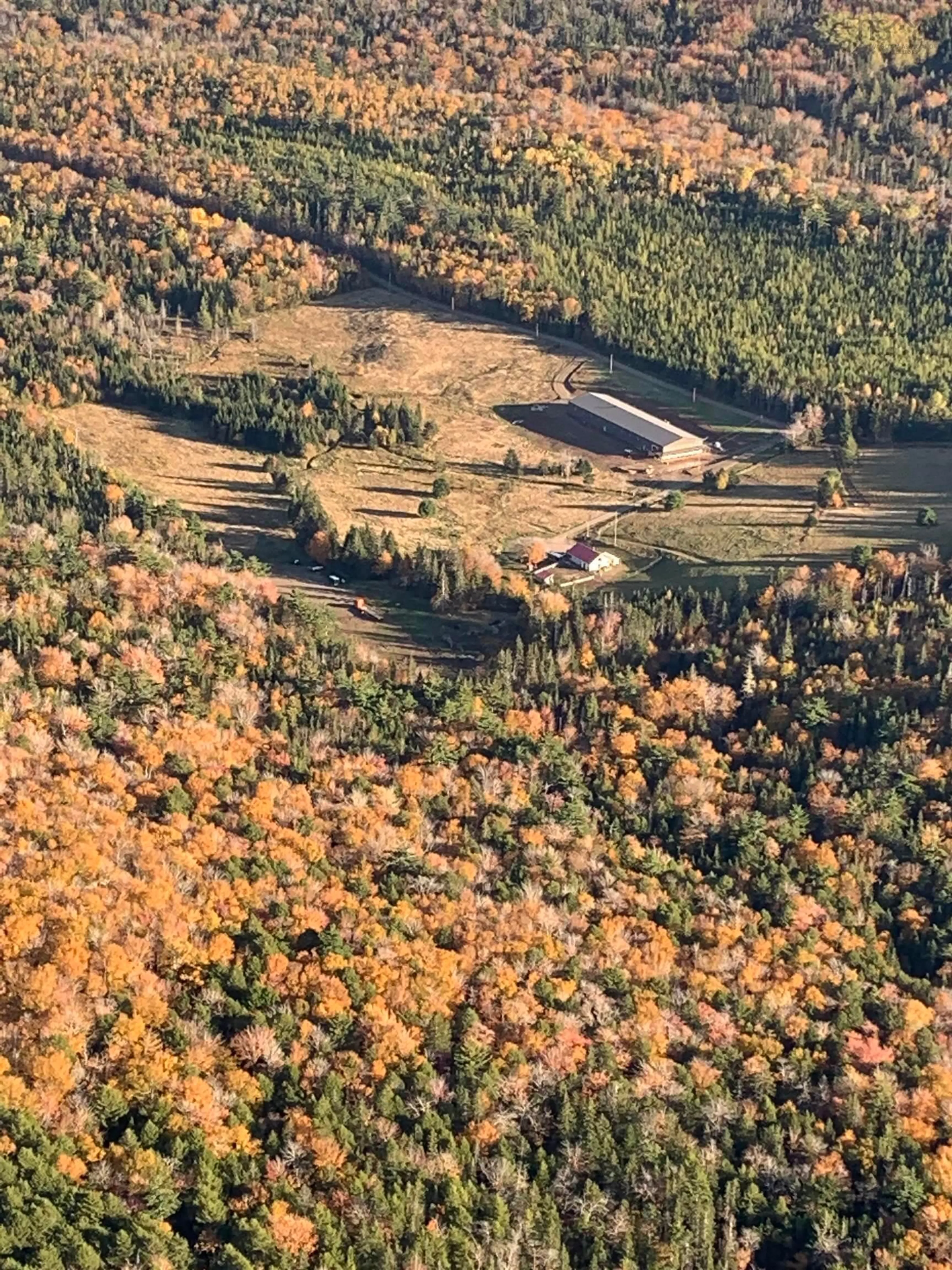 A pic from outside/outdoor area/front of a property/back of a property/a pic from drone, forest/trees view for 220 Campbell Rd, West Bay Nova Scotia B0E 2Y0