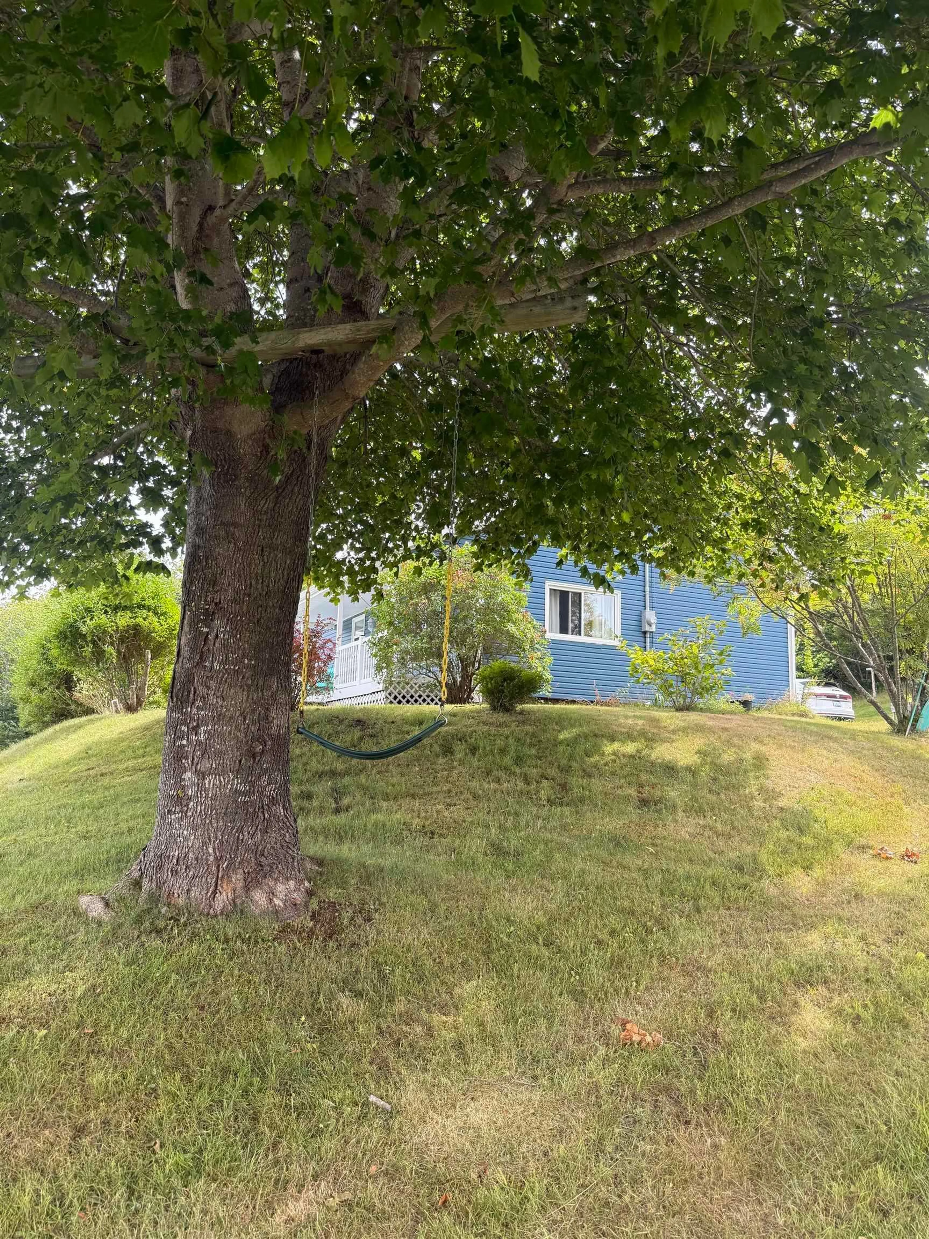A pic from outside/outdoor area/front of a property/back of a property/a pic from drone, unknown for 9361 16 Hwy, Cooks Cove Nova Scotia B0H 1N0