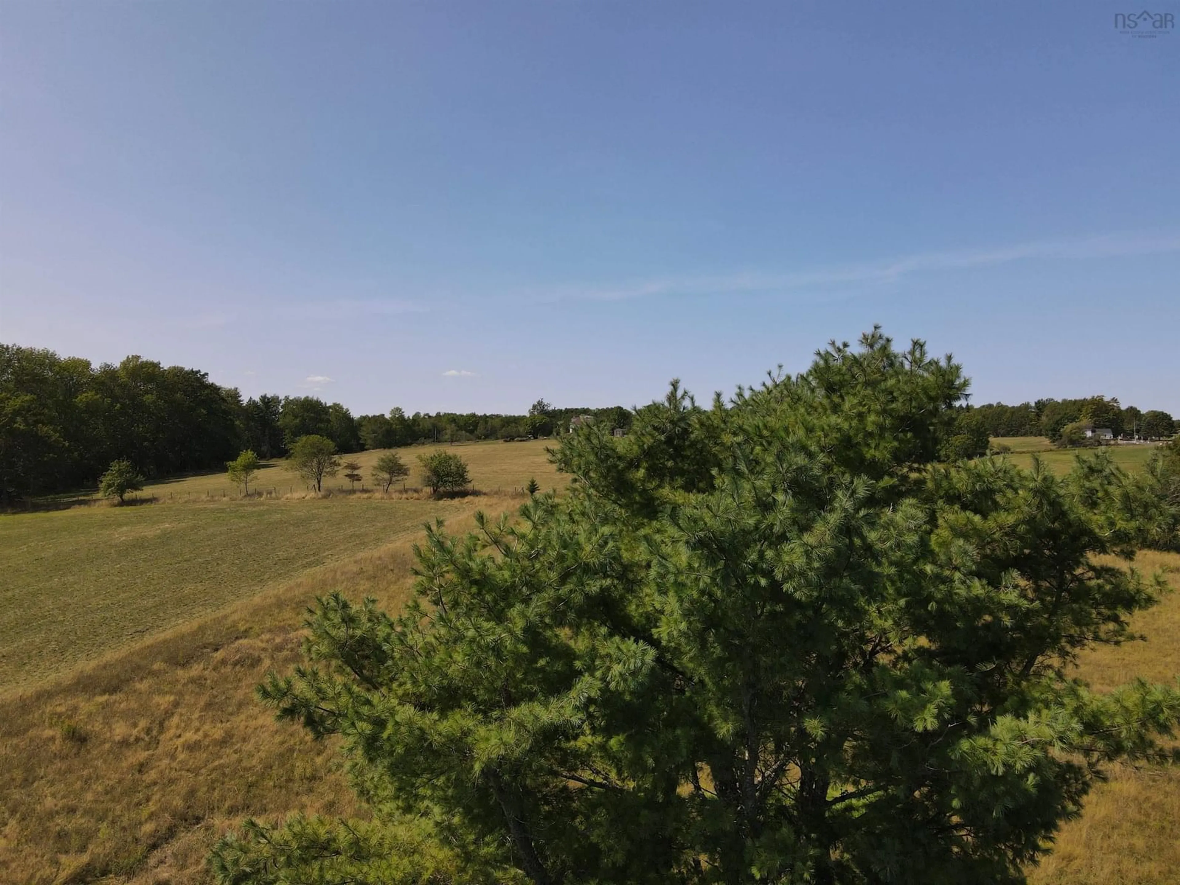 A pic from outside/outdoor area/front of a property/back of a property/a pic from drone, forest/trees view for 1017 Feeners Corner Rd, Upper Northfield Nova Scotia B4V 5A6
