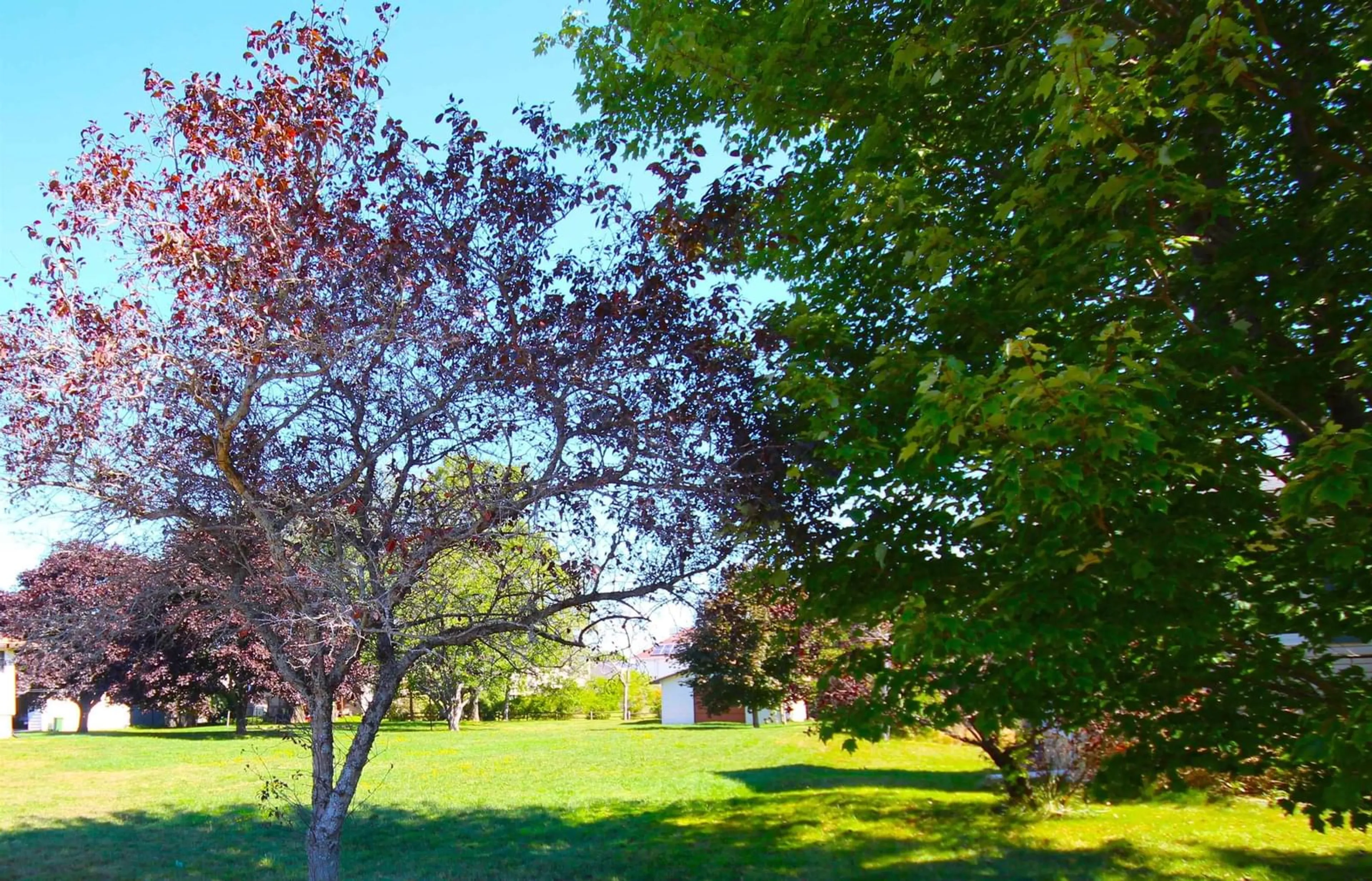 Blurry image for 304 Astral Dr, Cole Harbour Nova Scotia B2V 1B8