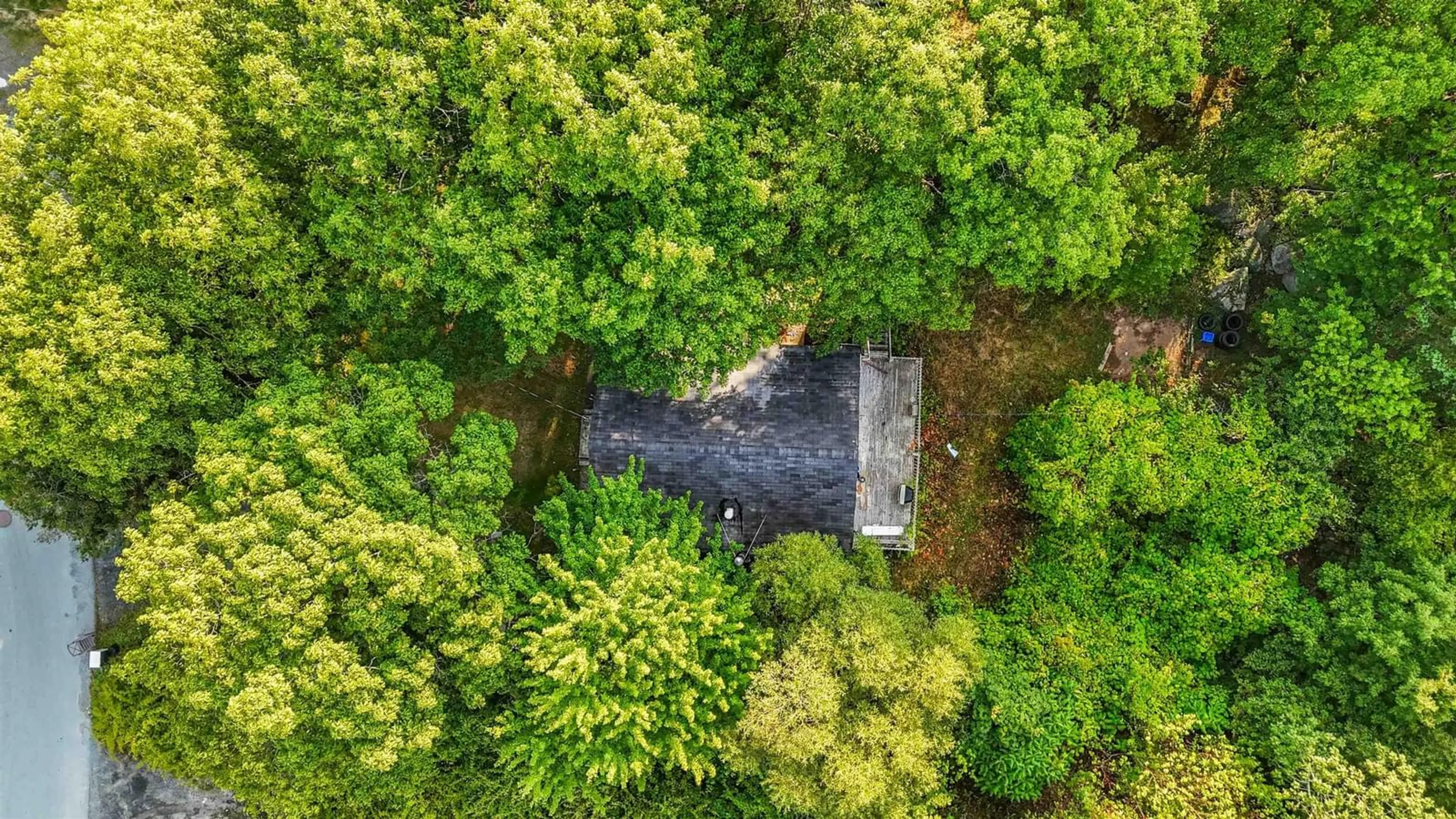 A pic from outside/outdoor area/front of a property/back of a property/a pic from drone, forest/trees view for 20 Layton Rd, Halifax Nova Scotia B3P 1Z8