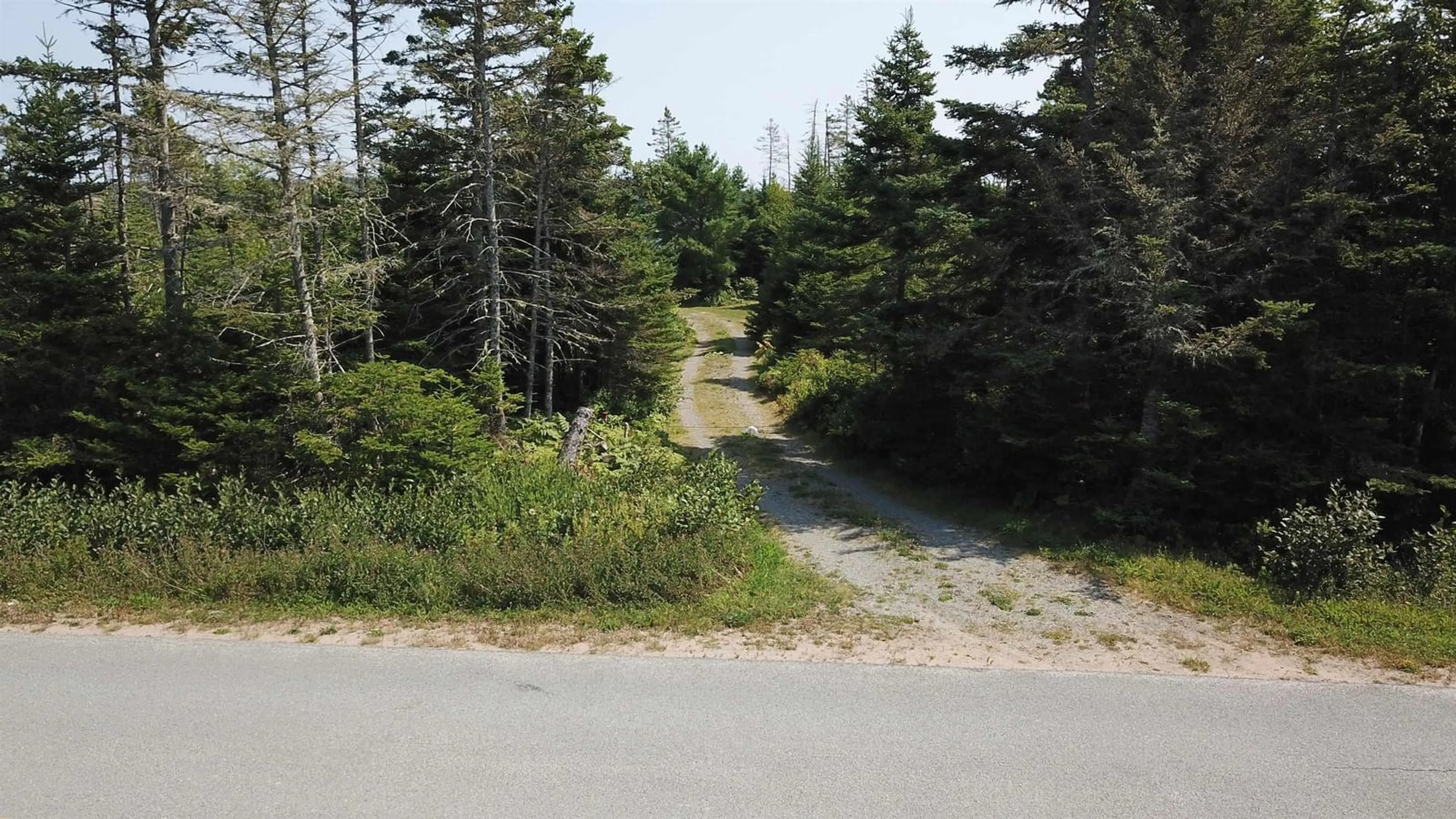 Blurry image for 608 Mushaboom Rd, Mushaboom Nova Scotia B0J 3H0