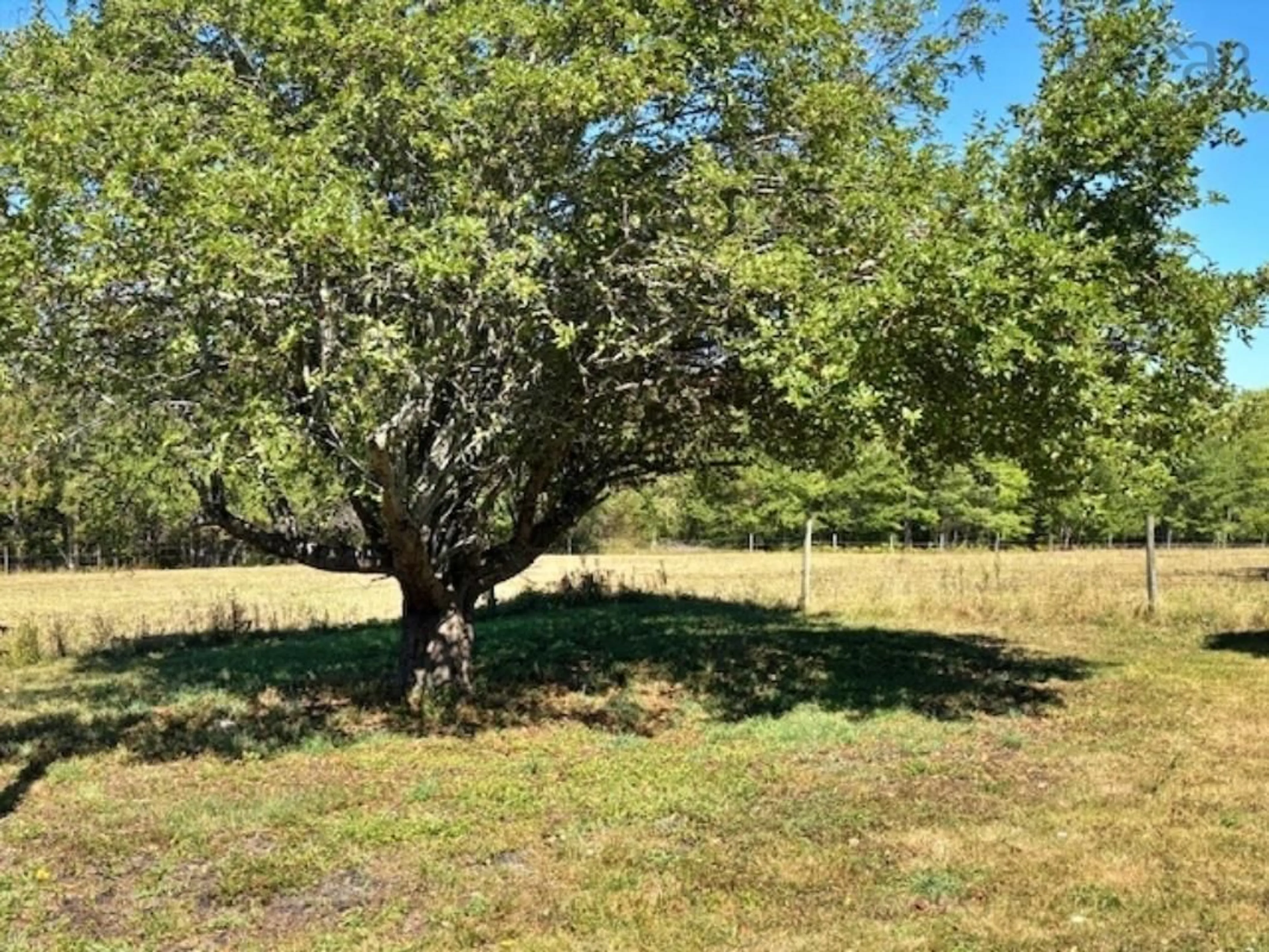 A pic from outside/outdoor area/front of a property/back of a property/a pic from drone, forest/trees view for 750 Highway 210, Waterloo Nova Scotia B4V 8J5