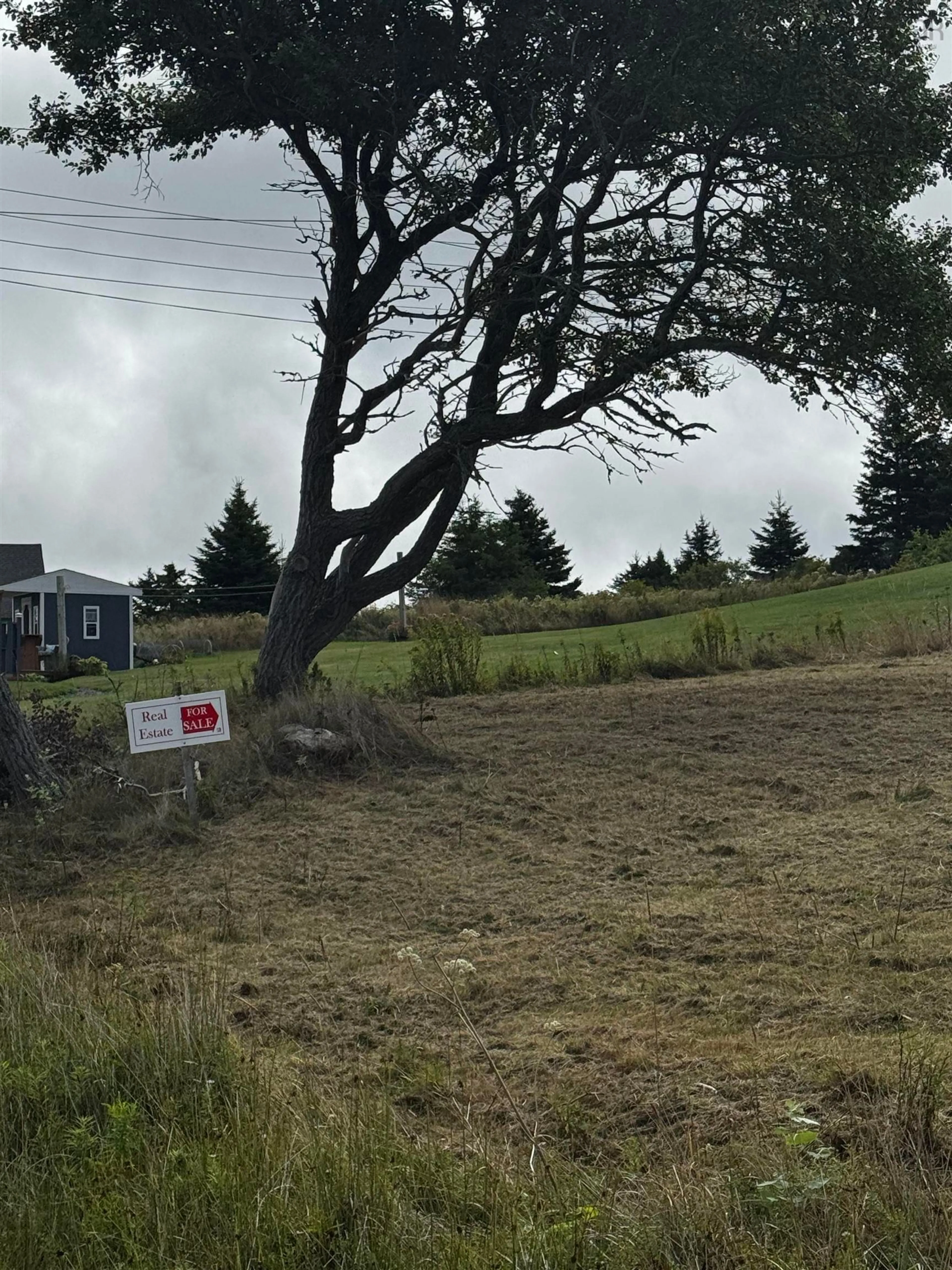 A pic from outside/outdoor area/front of a property/back of a property/a pic from drone, unknown for 20 Hurst St, Canso Nova Scotia B0H 1H0