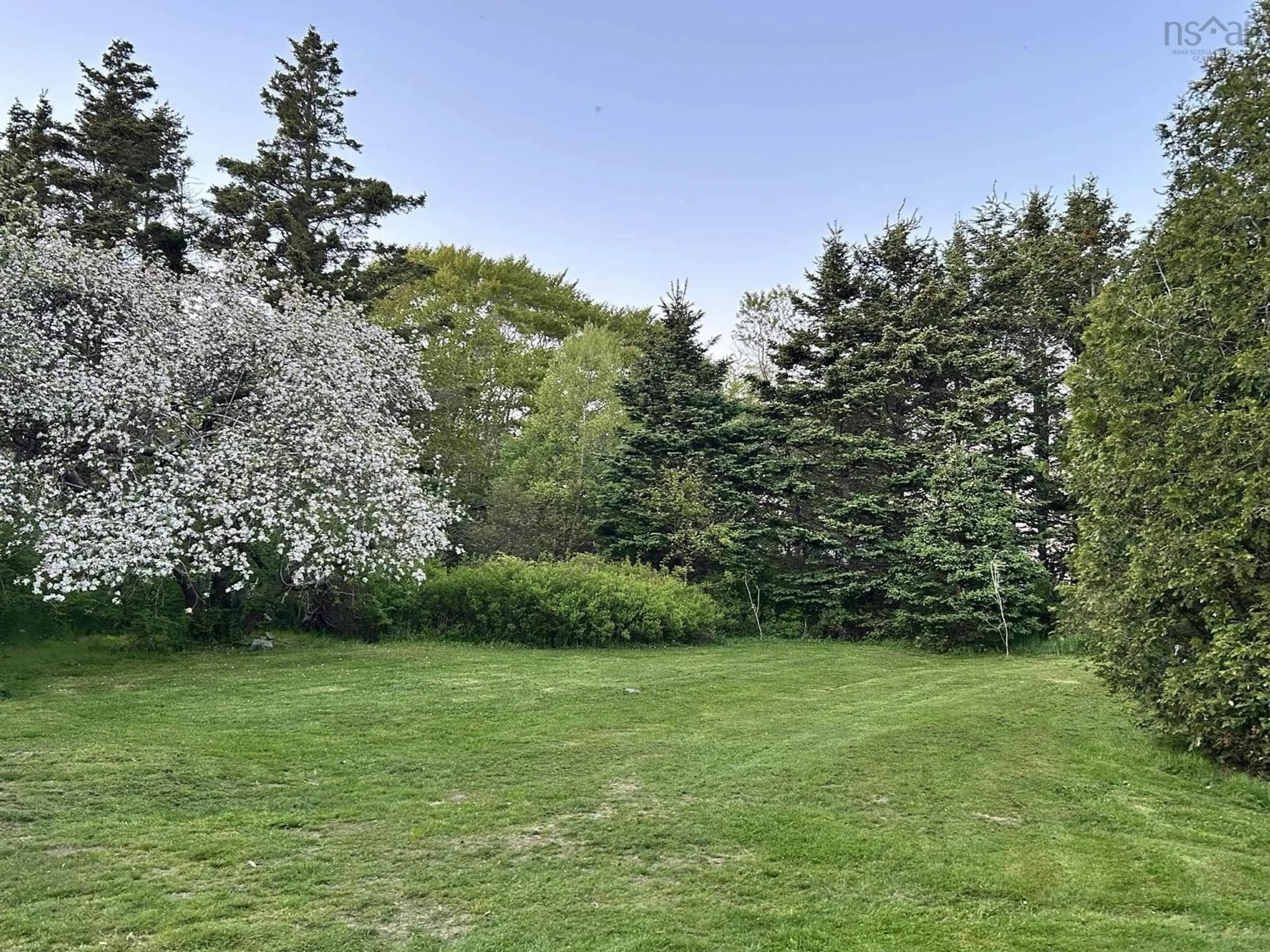 A pic from outside/outdoor area/front of a property/back of a property/a pic from drone, forest/trees view for 665 Belleville Rd, Tusket Nova Scotia B0W 3M0